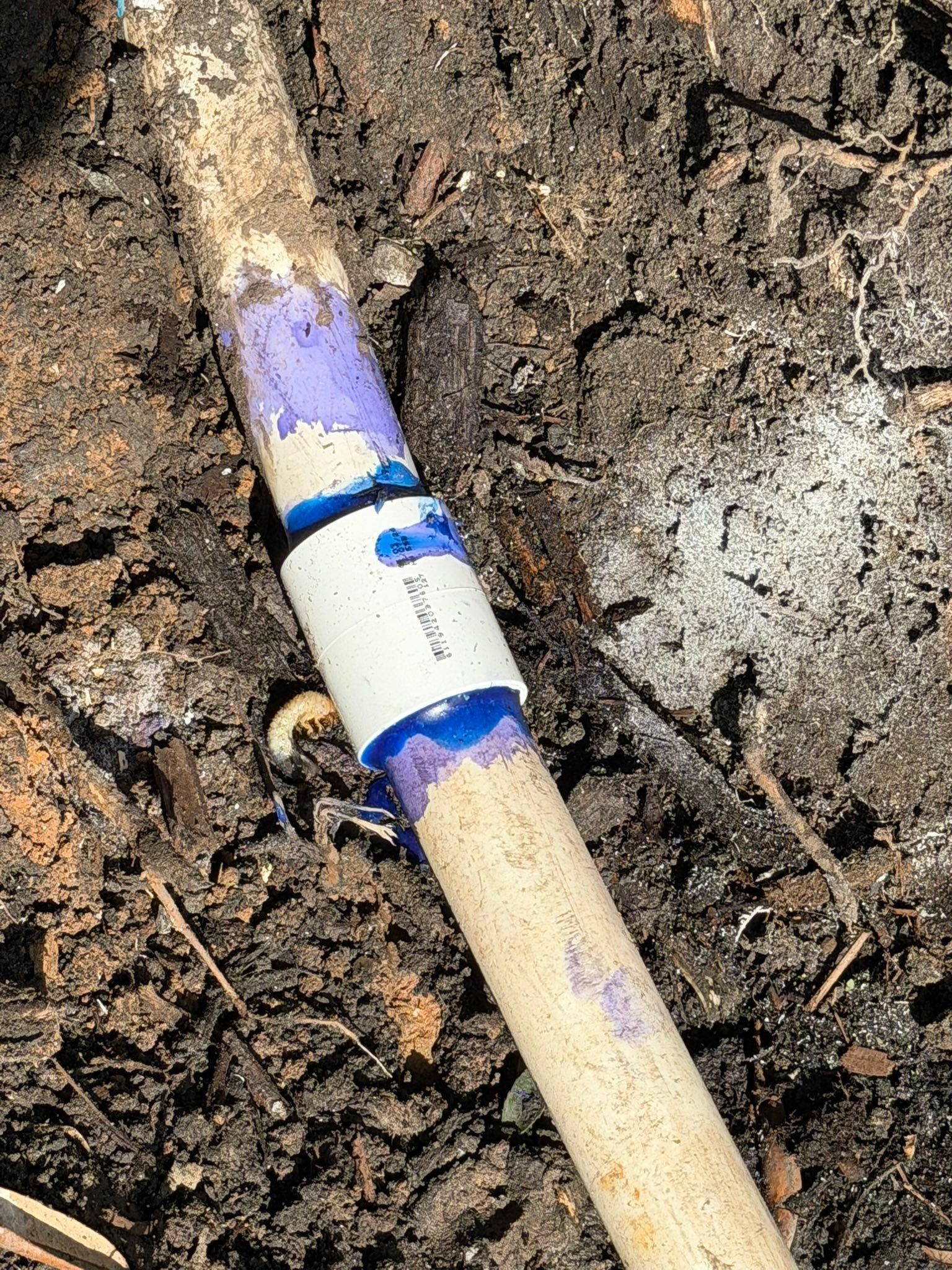  for Texas Curb N Borders in Houston, TX