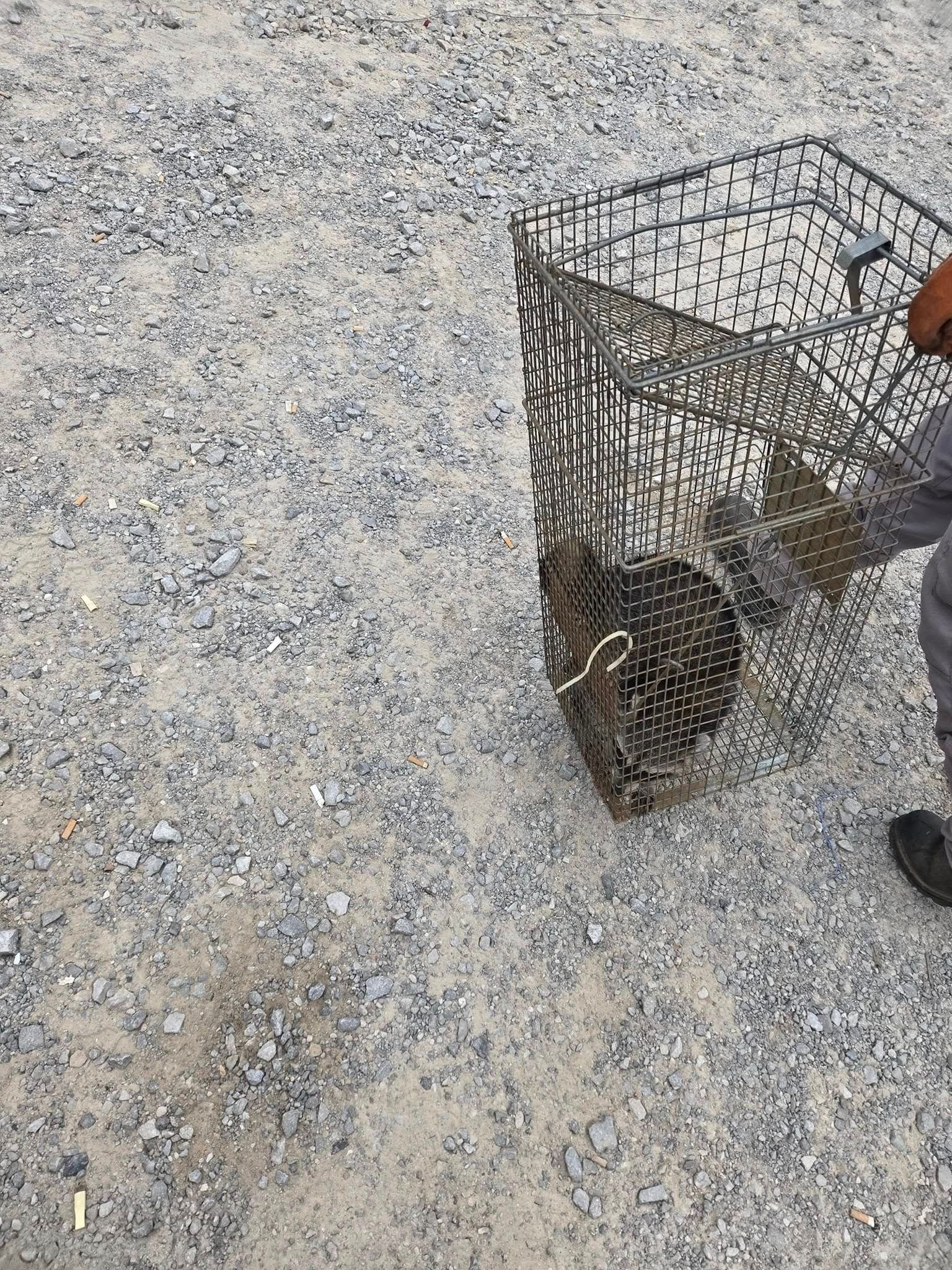  for Bug Blasterz LLC in Huntsville, AL