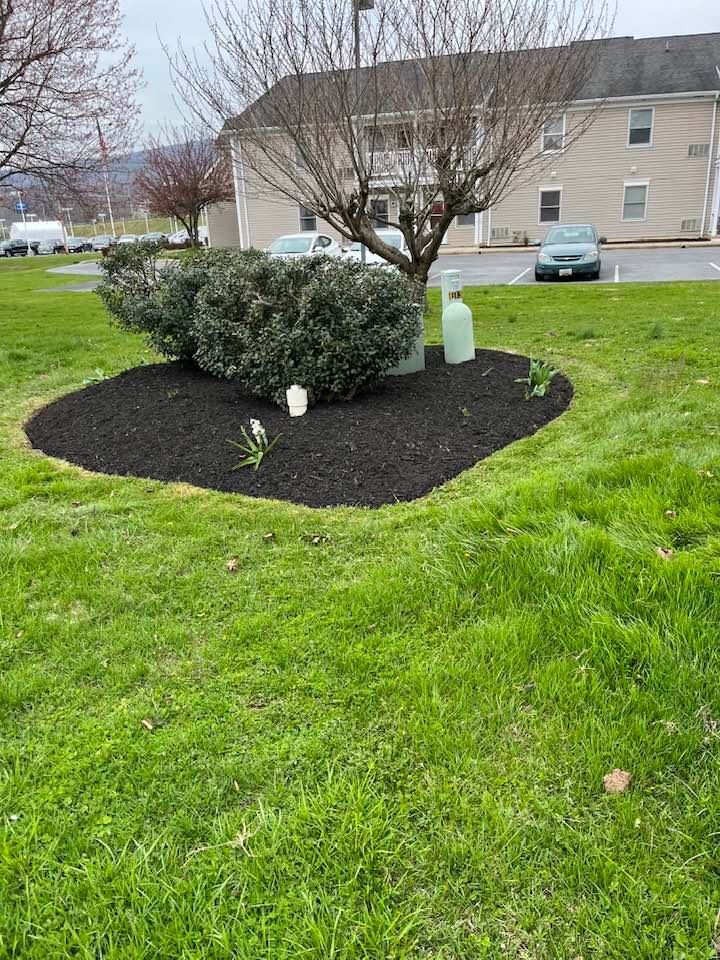  for Young’s lawns & landscapes in Thurmont, MD