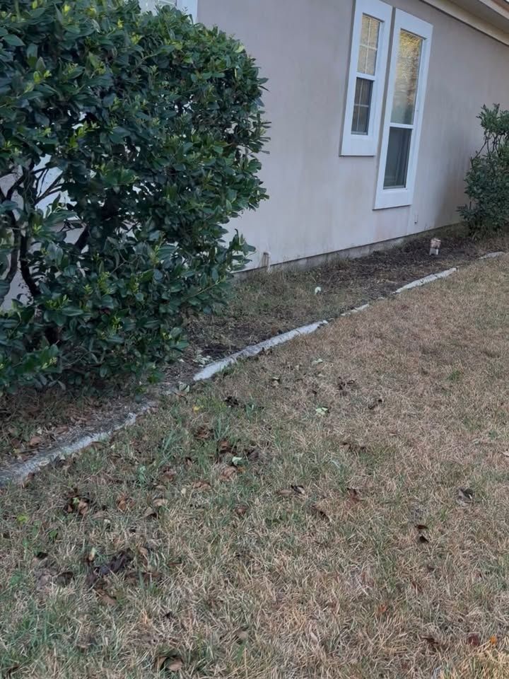  for Whole 9 Yards Services LLC in Green Cove Springs, FL