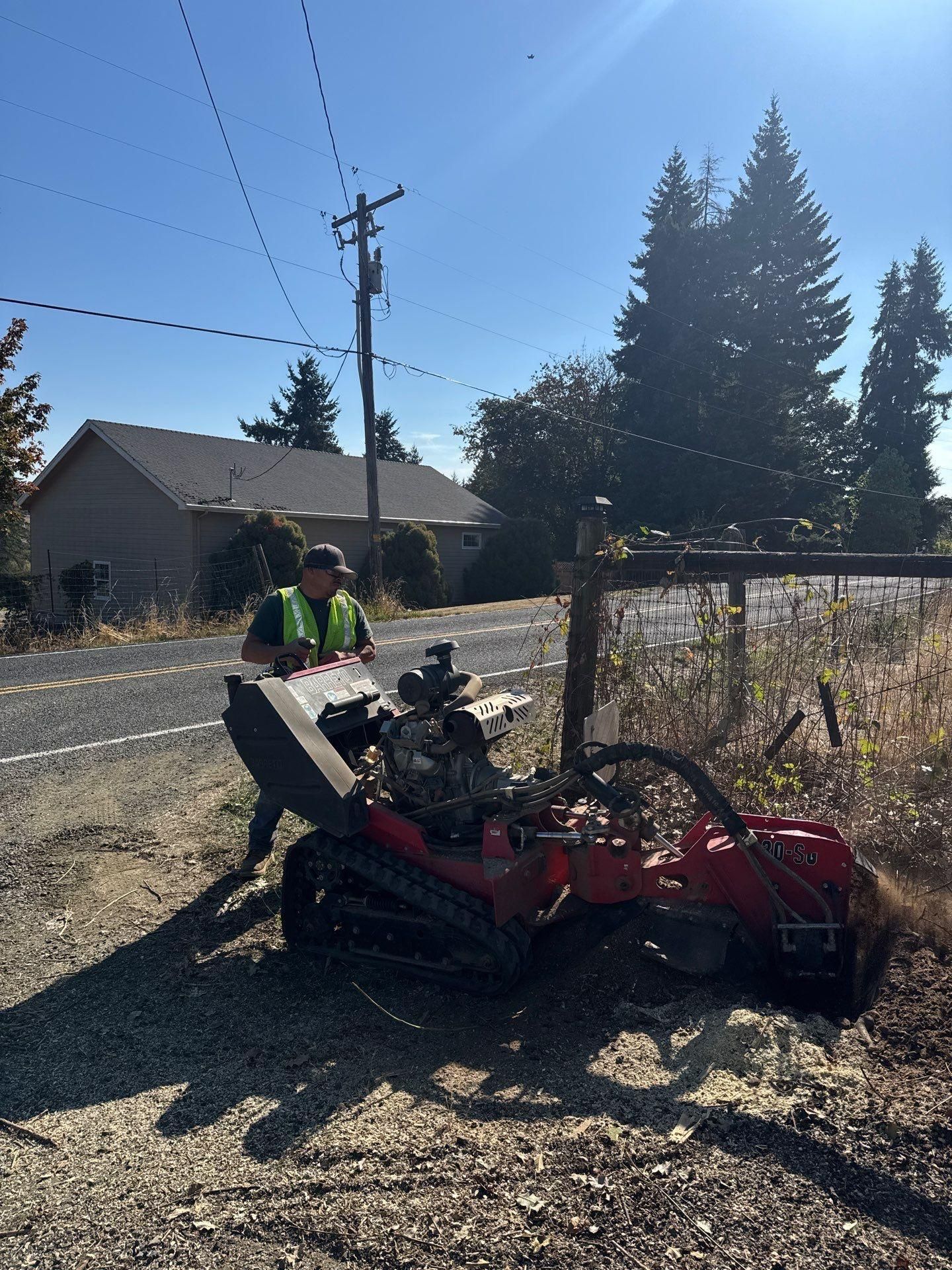 for Willamette Landscaping and Tree Services in Albany, OR