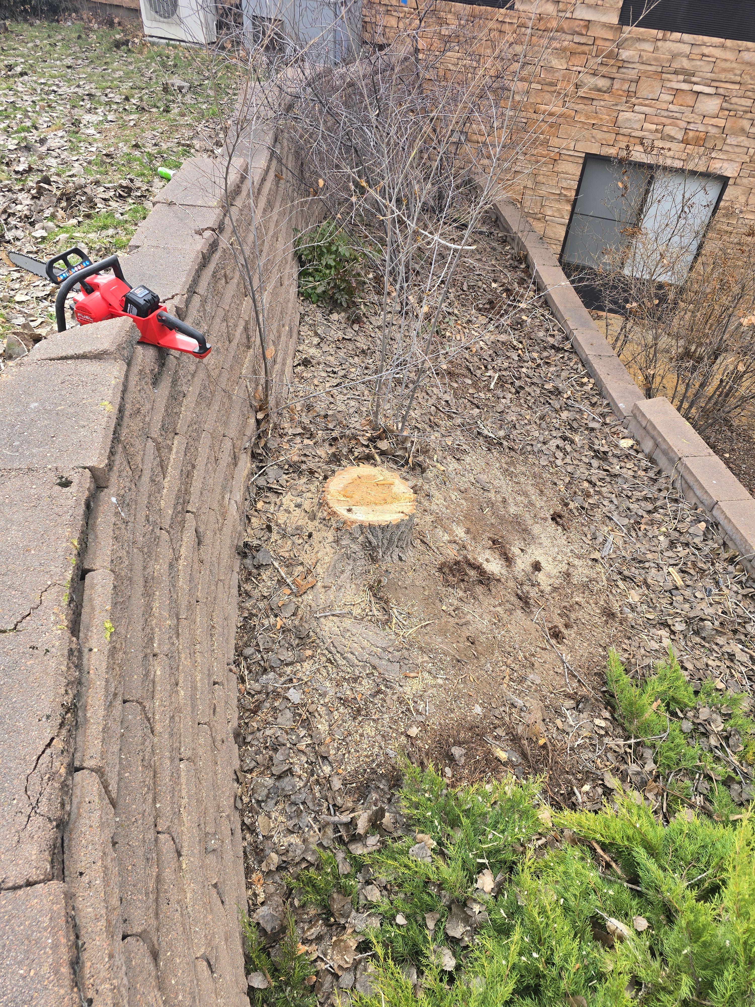 All Photos for LRS: Landscape, Rescue, Snow in Silt, CO