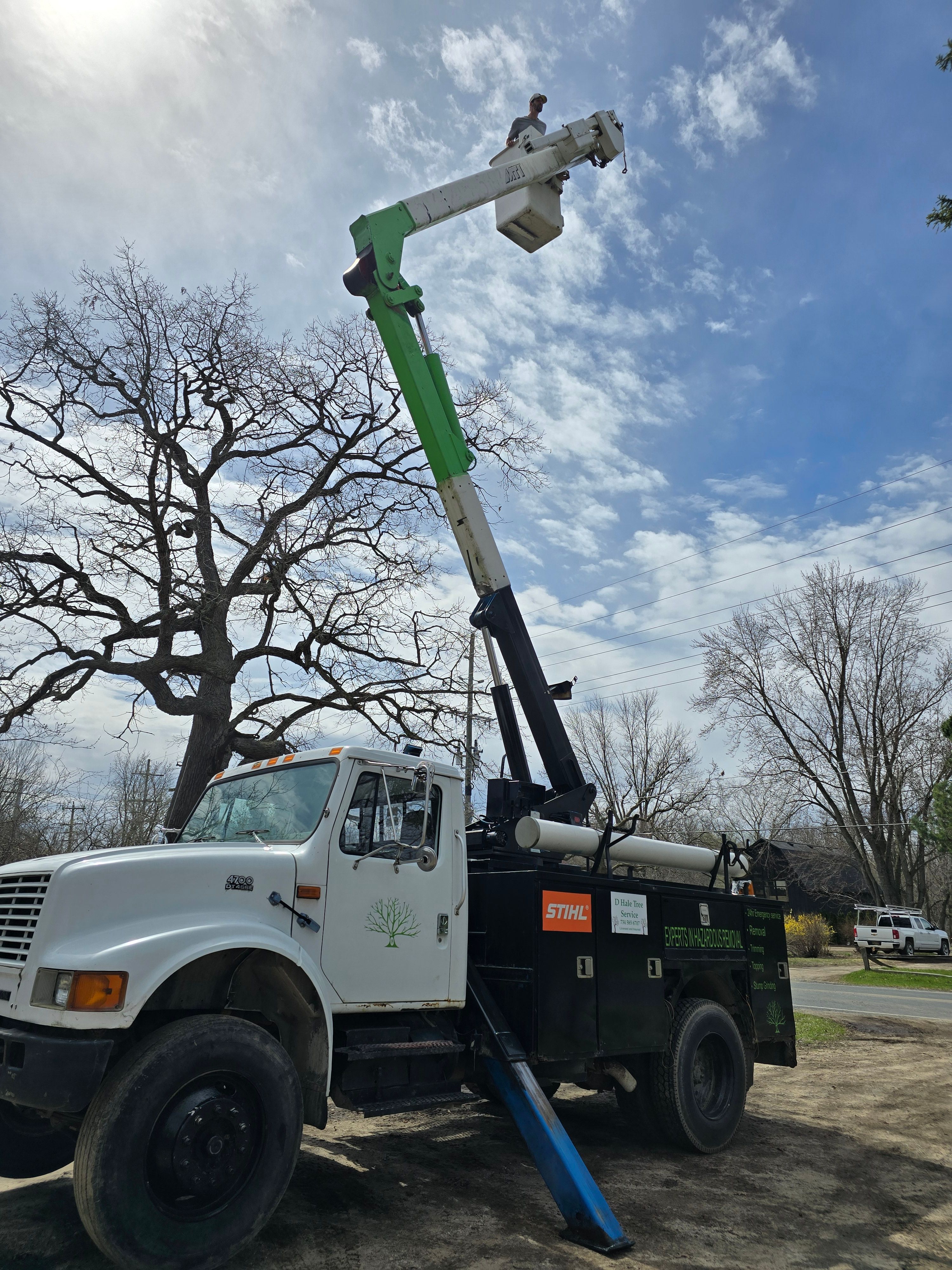  for D Hale Tree Service in Dexter, MI