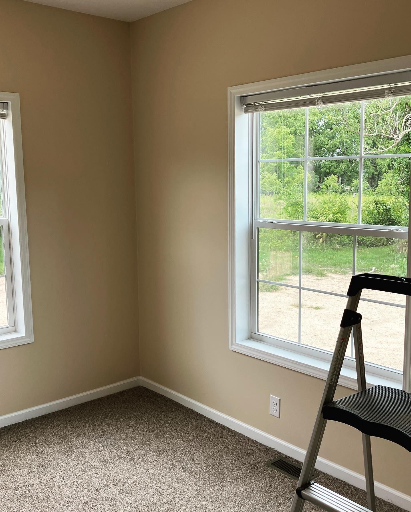  for Apex Painting in Livonia, MI