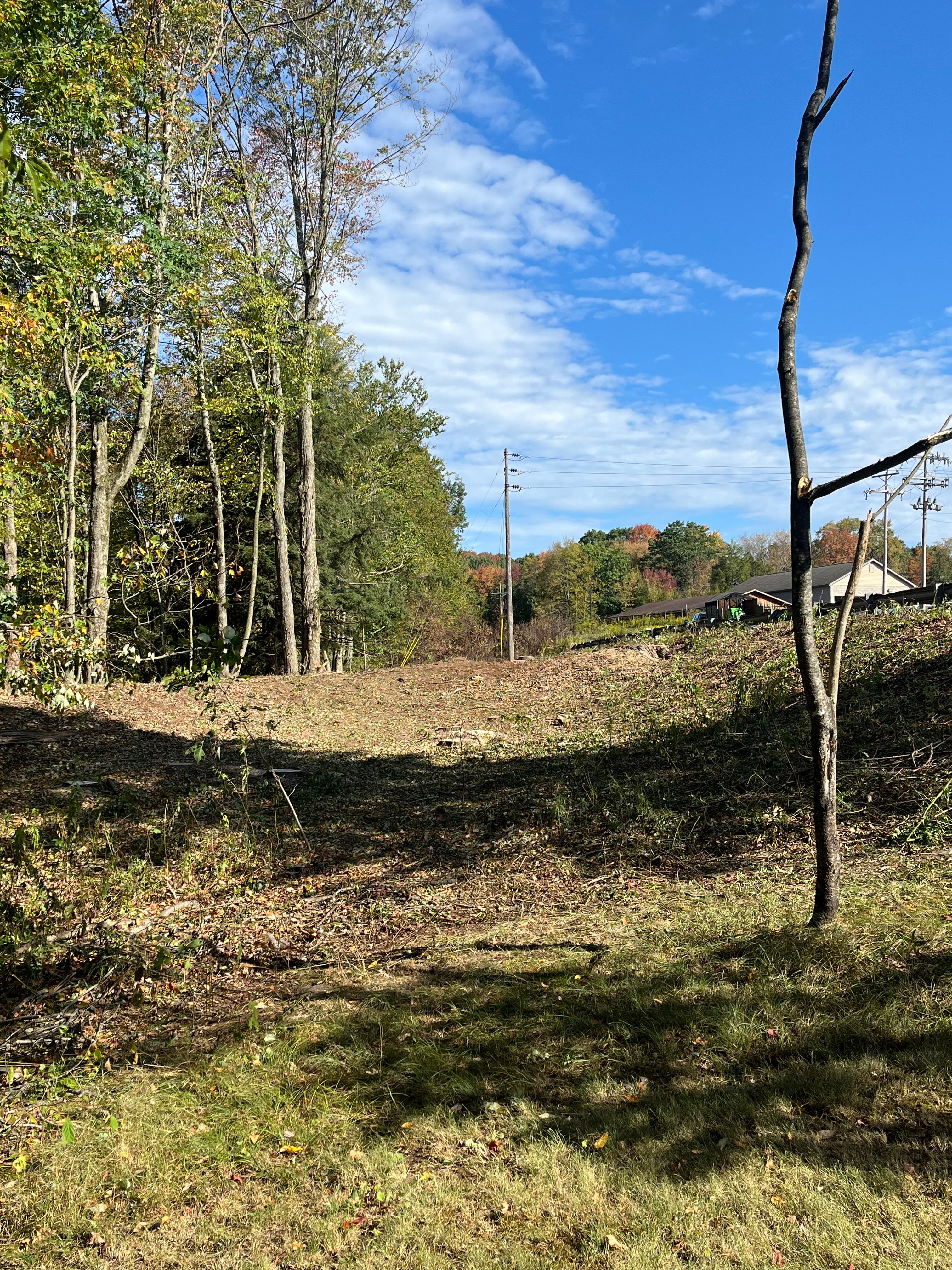  for J&E Tree & Excavation Services in Sandy, PA