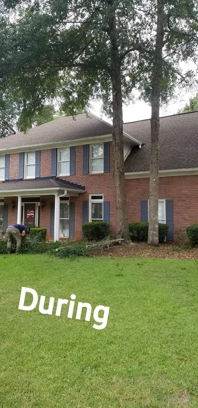  for DNA Tree Service in Birmingham, AL