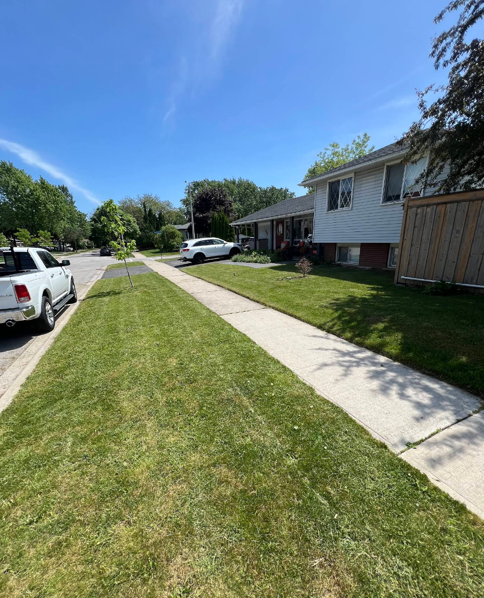  for CMN Exterior Maintenance in Hamilton, ON