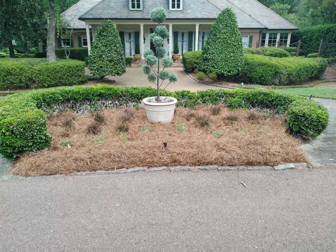  for Amis Lawn and Landscape, LLC in Clinton, MS