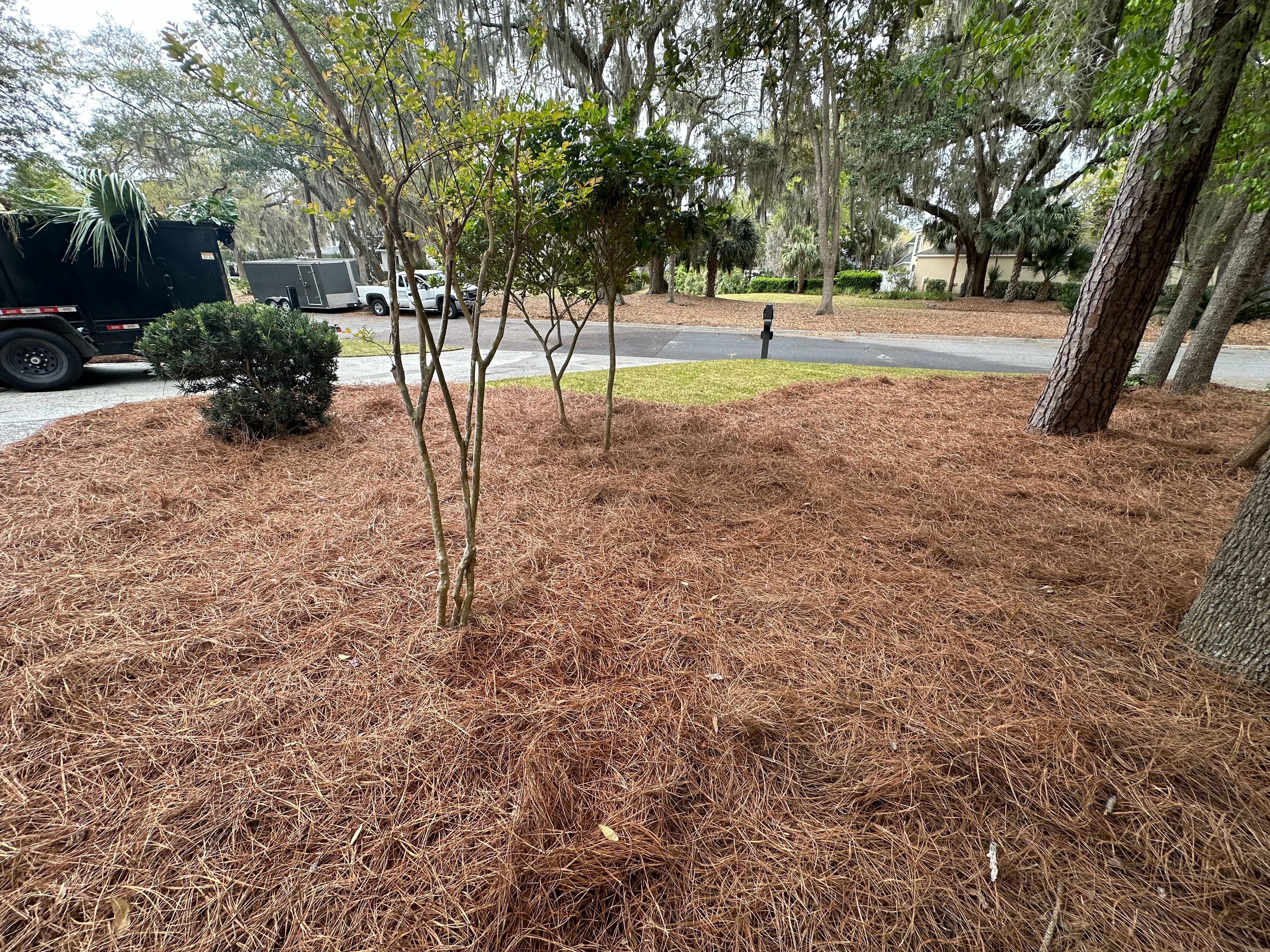  for Coastalscapes Landscaping & Turf Management  in Savannah, GA