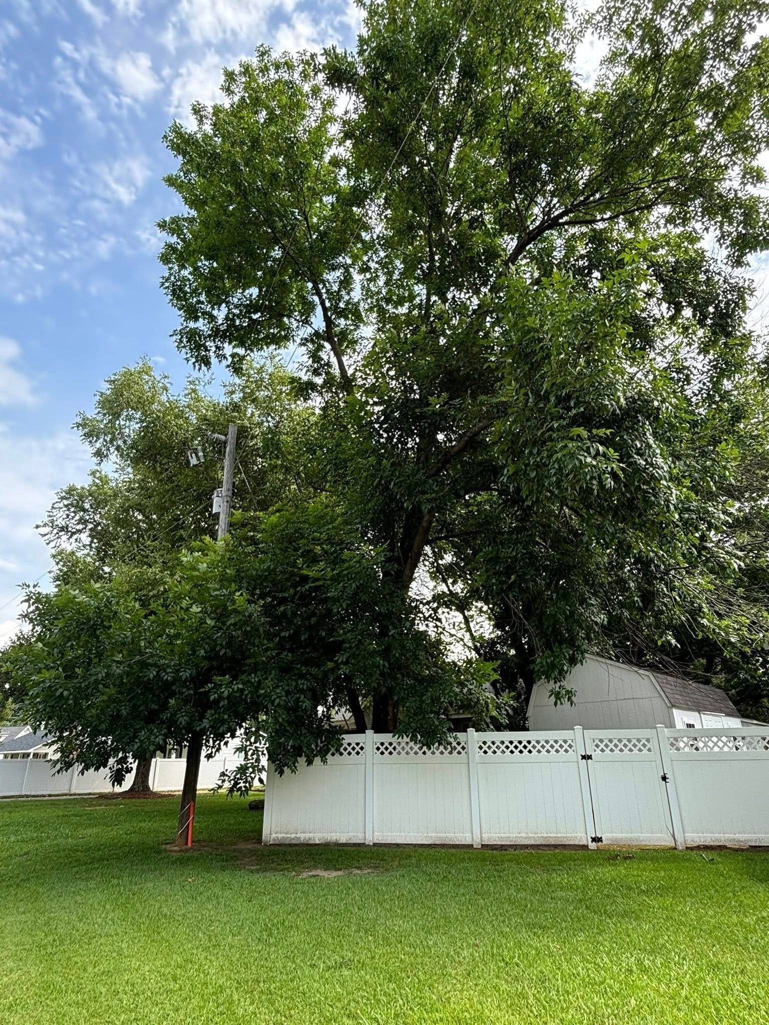  for Total Tree Care in Erwin, North Carolina