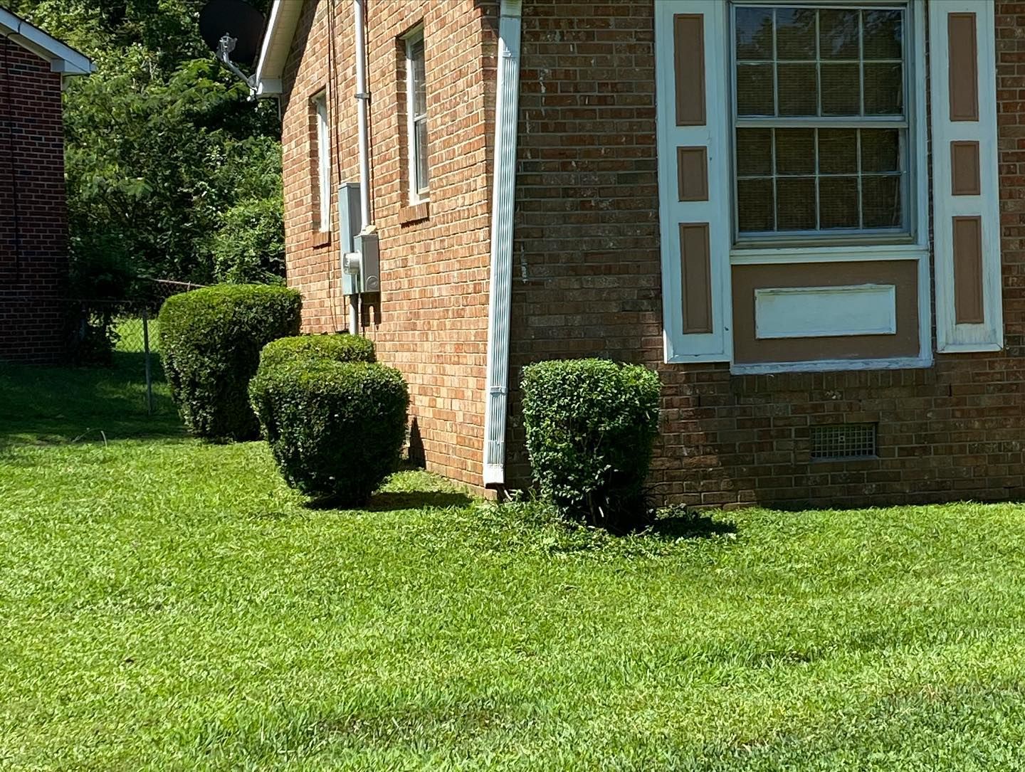 Landscaping for JIF Concrete Services in Greenville, SC