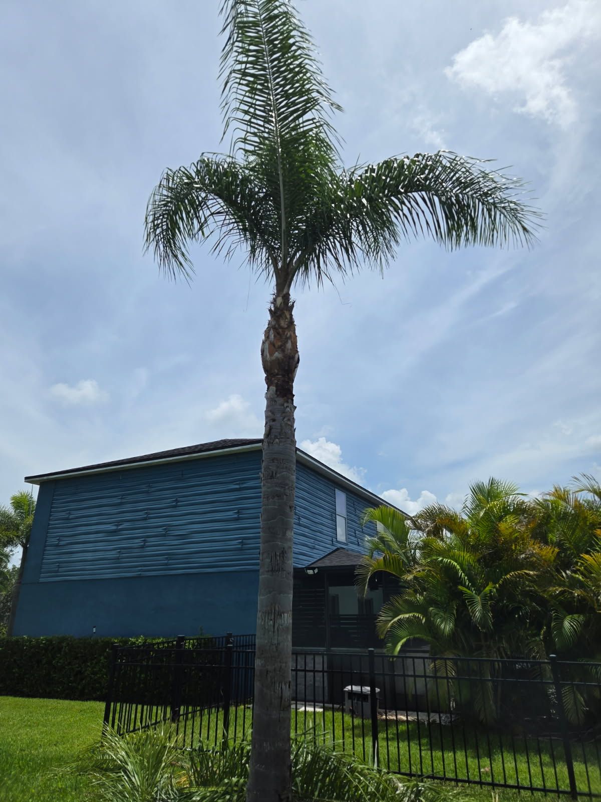 All Photos for TREE BOYS in Ruskin, FL