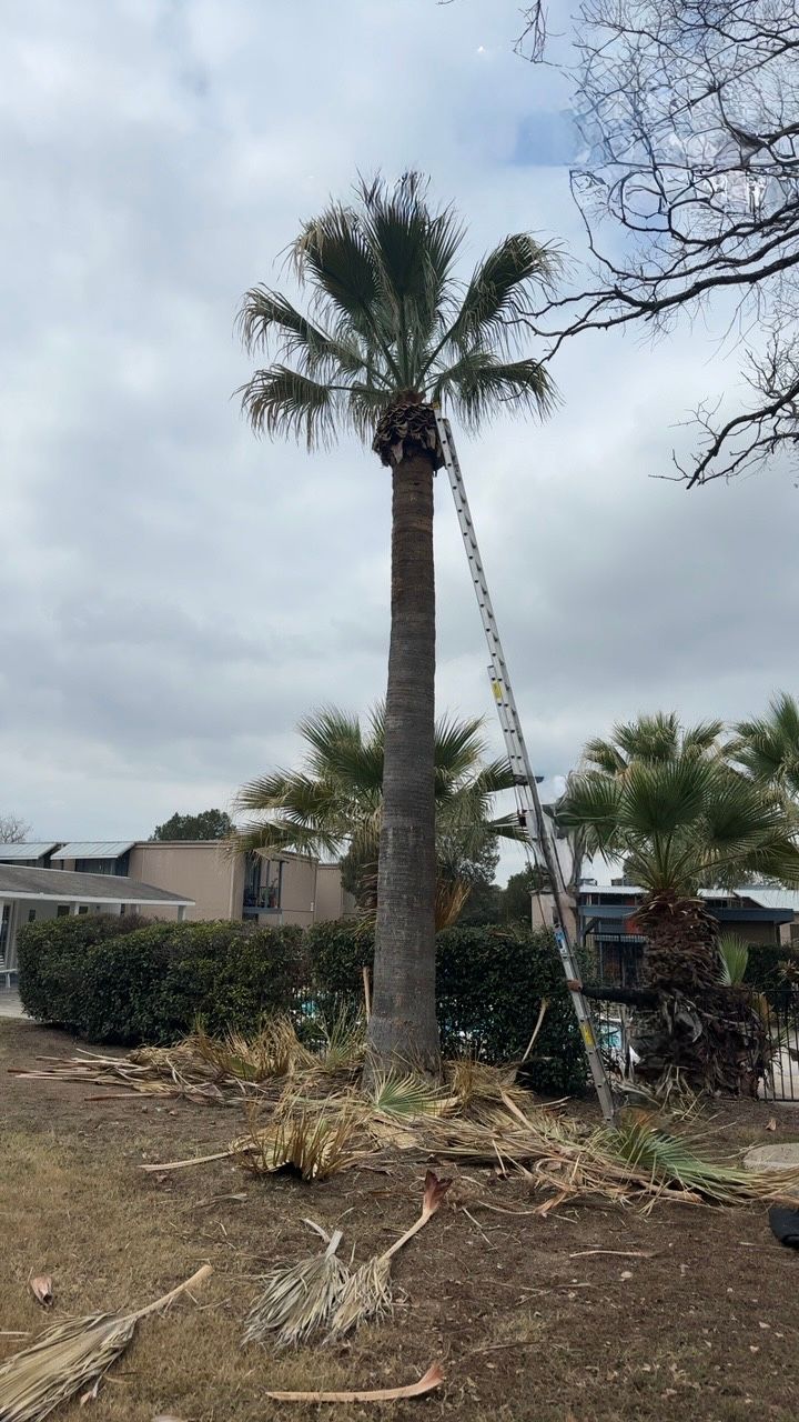  for DR Landscape in San Antonio, TX