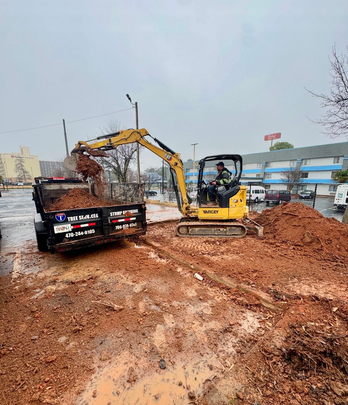  for Clear Tree Land Solutions in Dawson County, GA