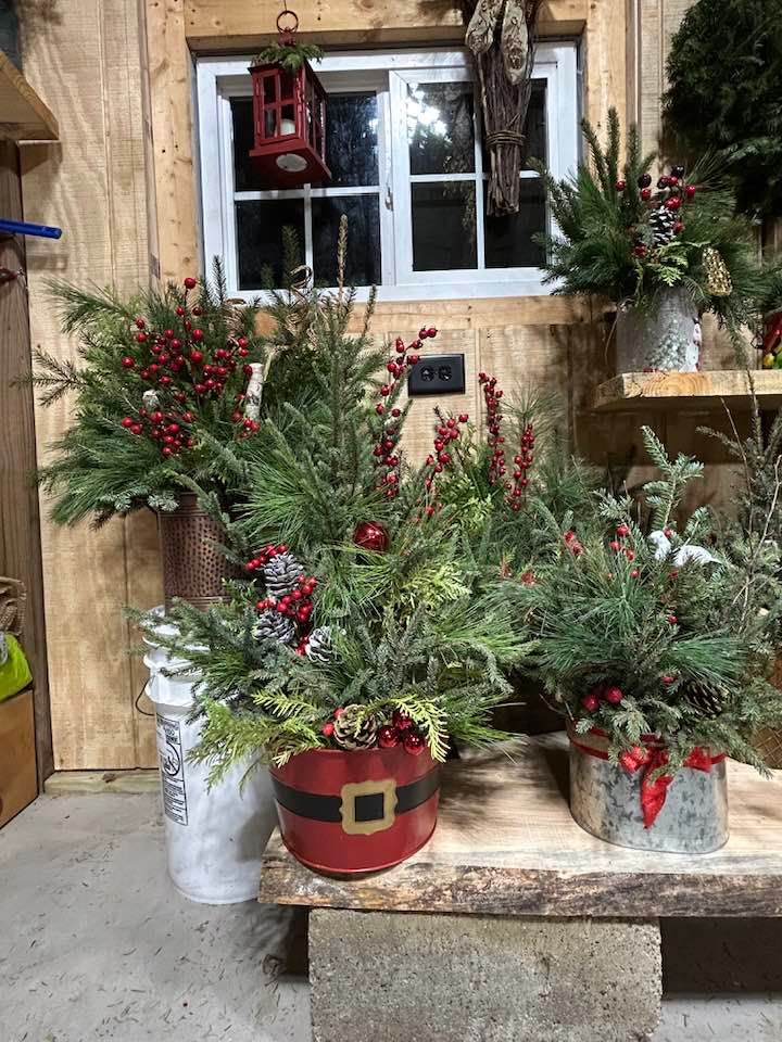  for Spring Creek Evergreens in Red Wing, MN