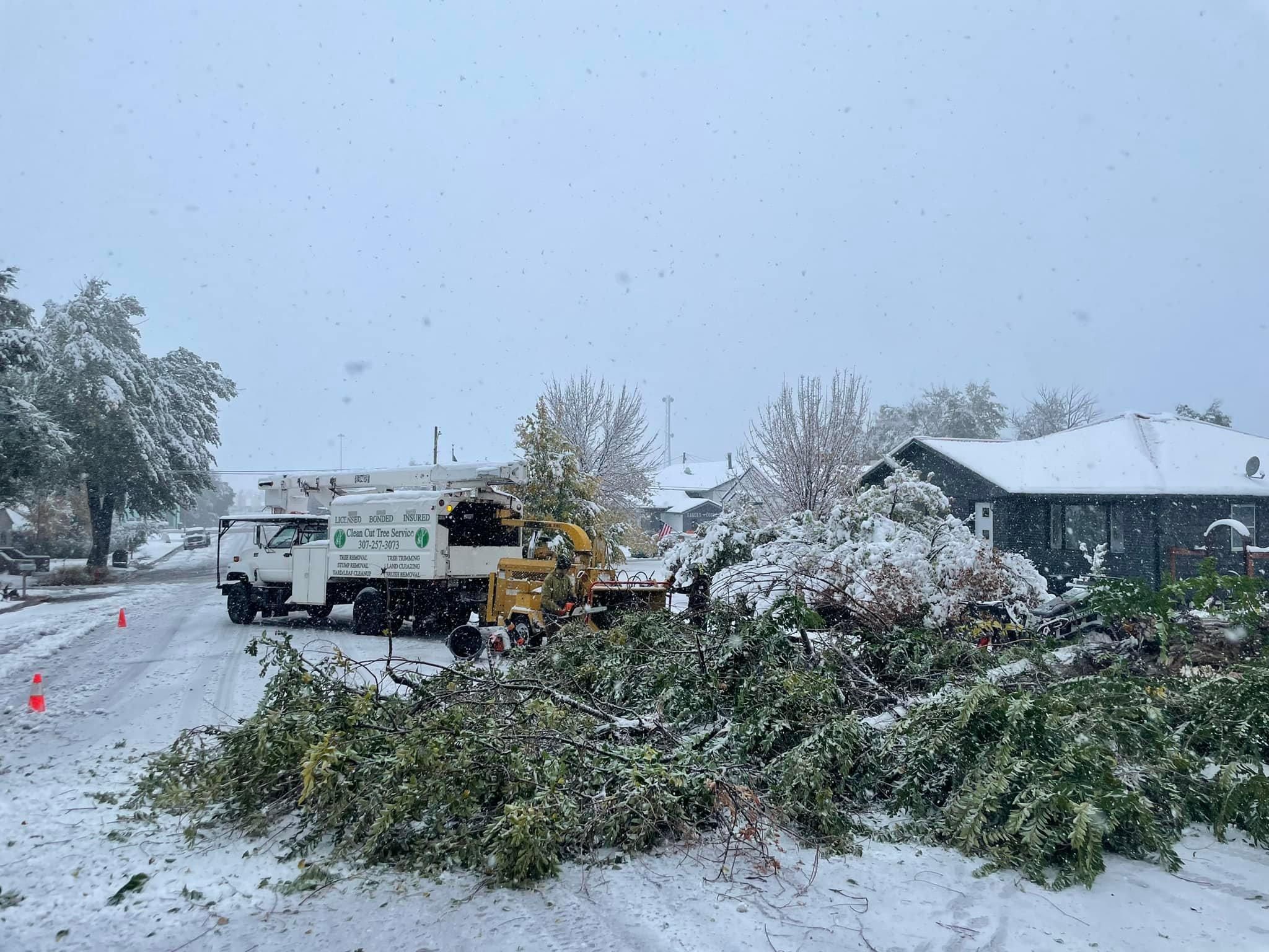  for Clean Cut Tree Service in Gillette, WY