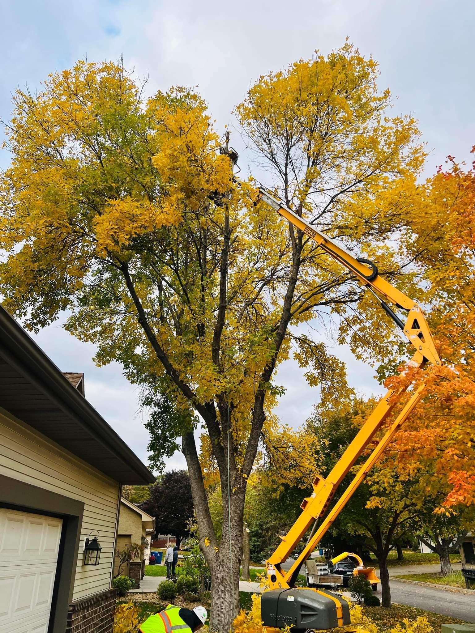 Tree Removal for Buffalo Family Tree Care in Buffalo, MN