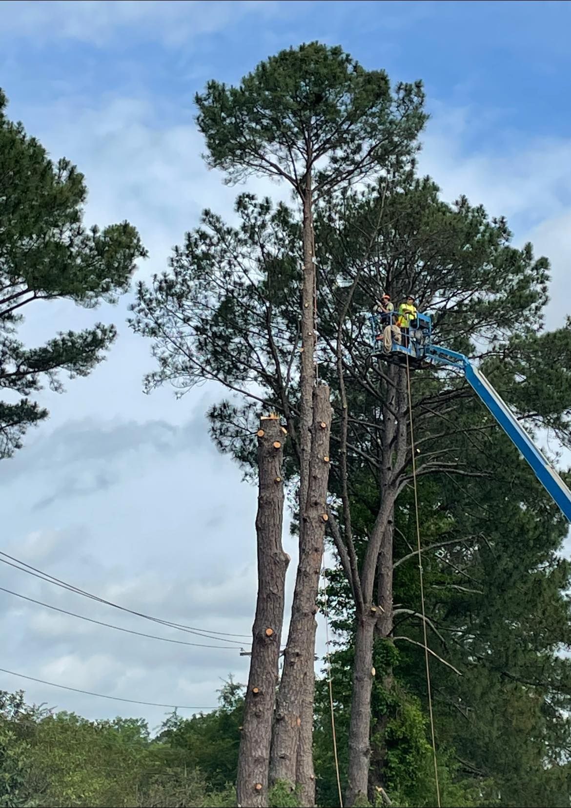 Land Clearing for Lake Murray Outdoor Solutions LLC in Leesville, SC