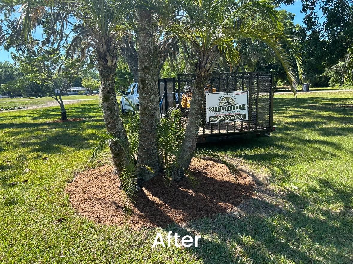  for Greene Acres Stump Grinding in Plant City, FL