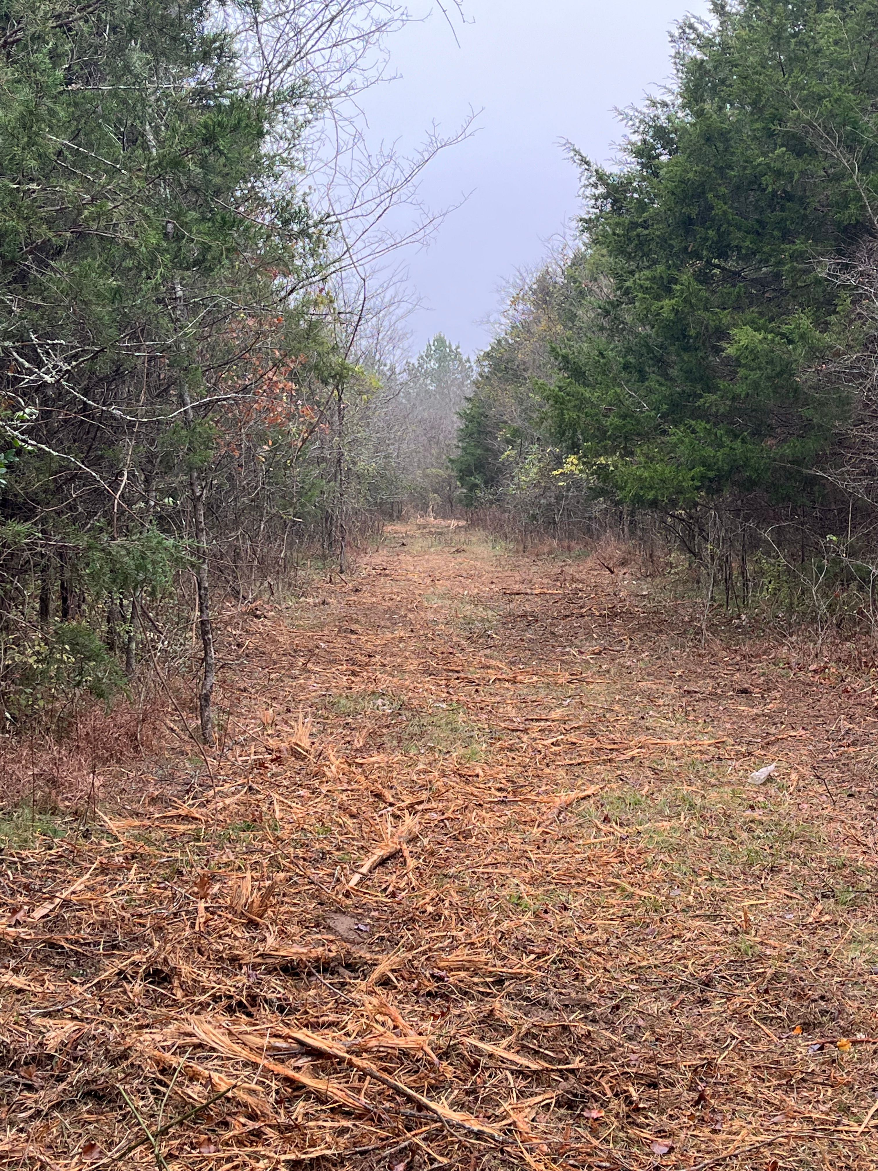  for TriStar Land Clearing & Mulching in Franklin, TN
