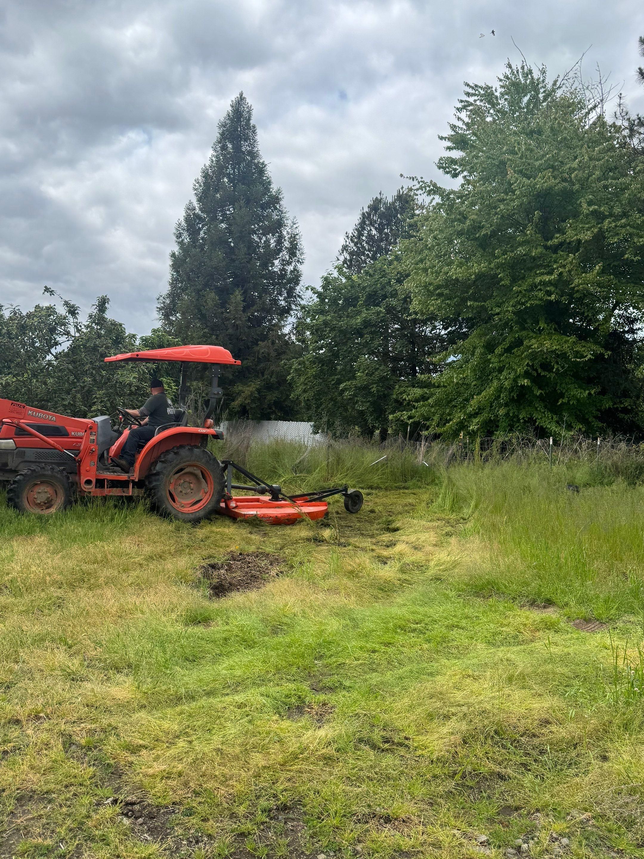  for Willamette Landscaping and Tree Services in Albany, OR