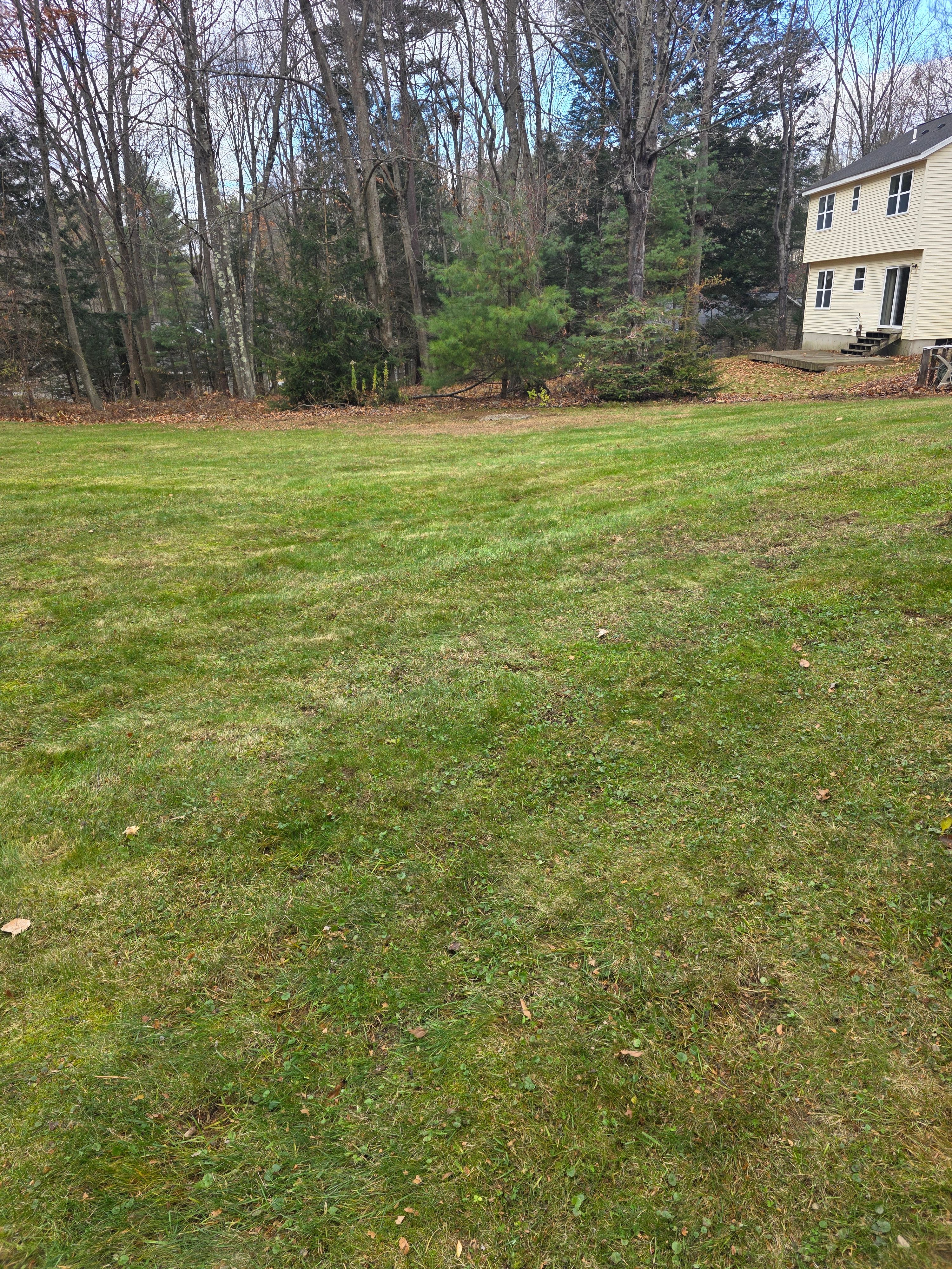  for Sweet Scapes in Ballston Spa, NY