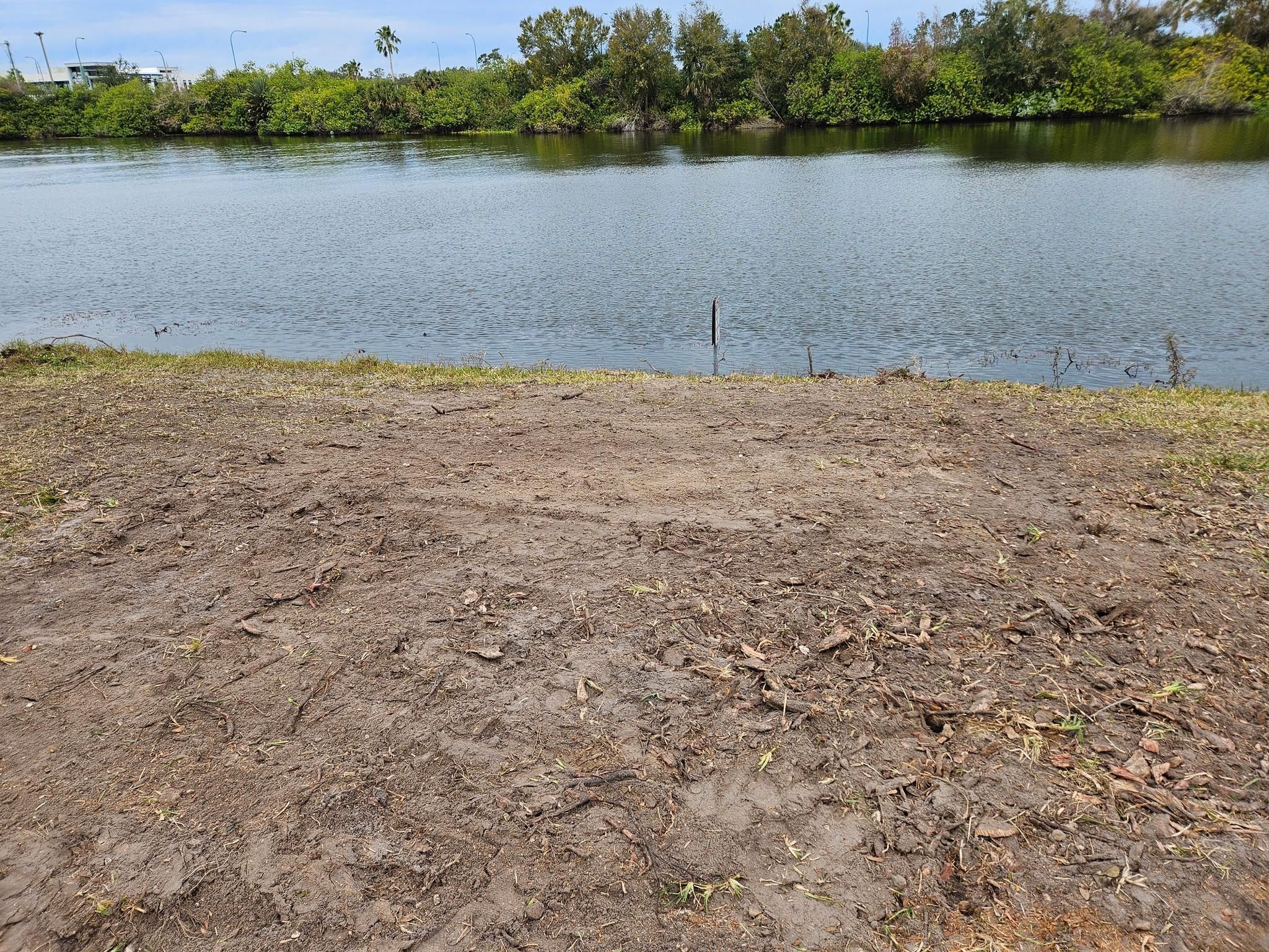 All Photos for Bay Area Bobcat in Riverview, FL