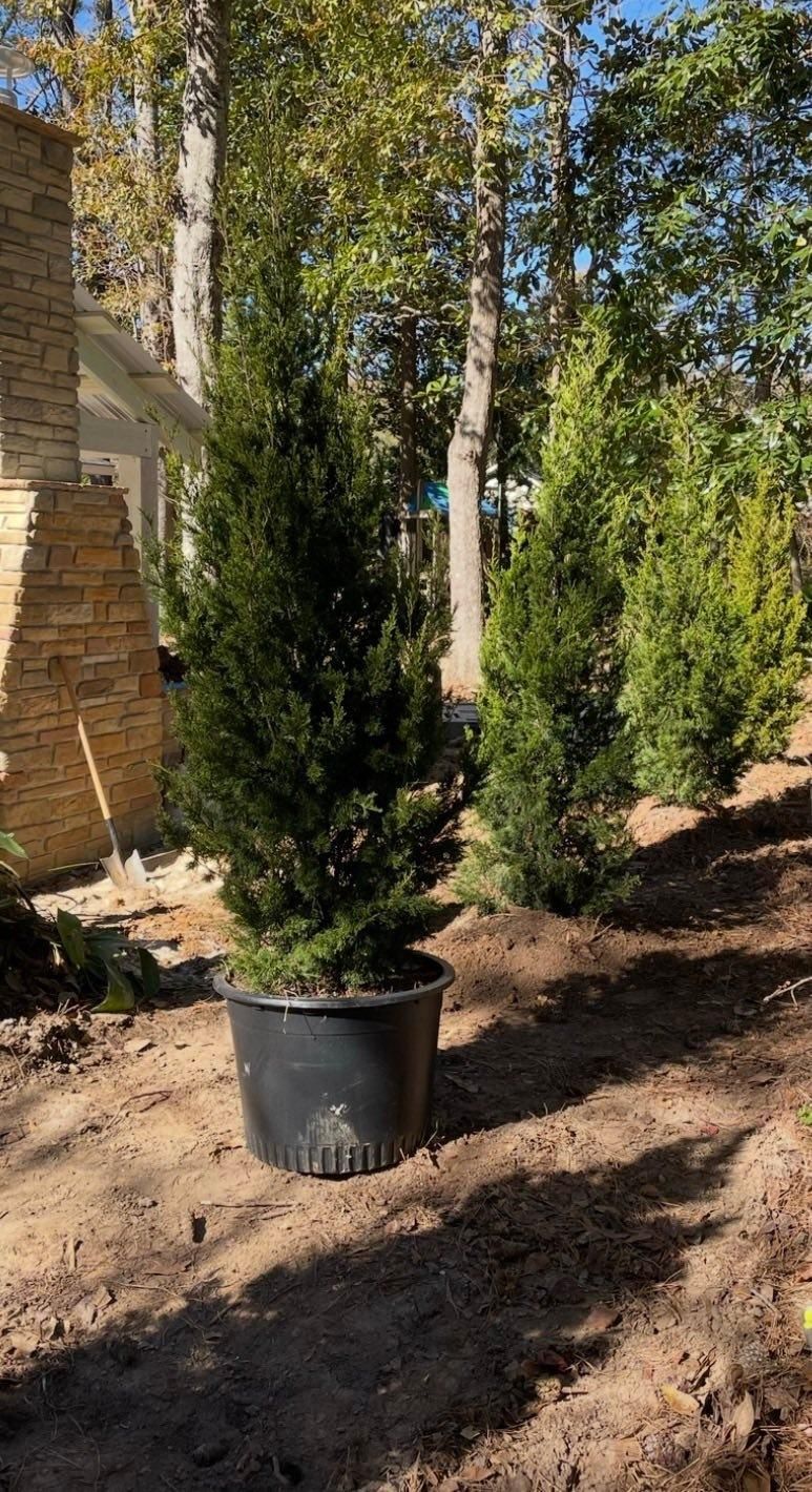  for Enhanced Landscape in Daphne, AL