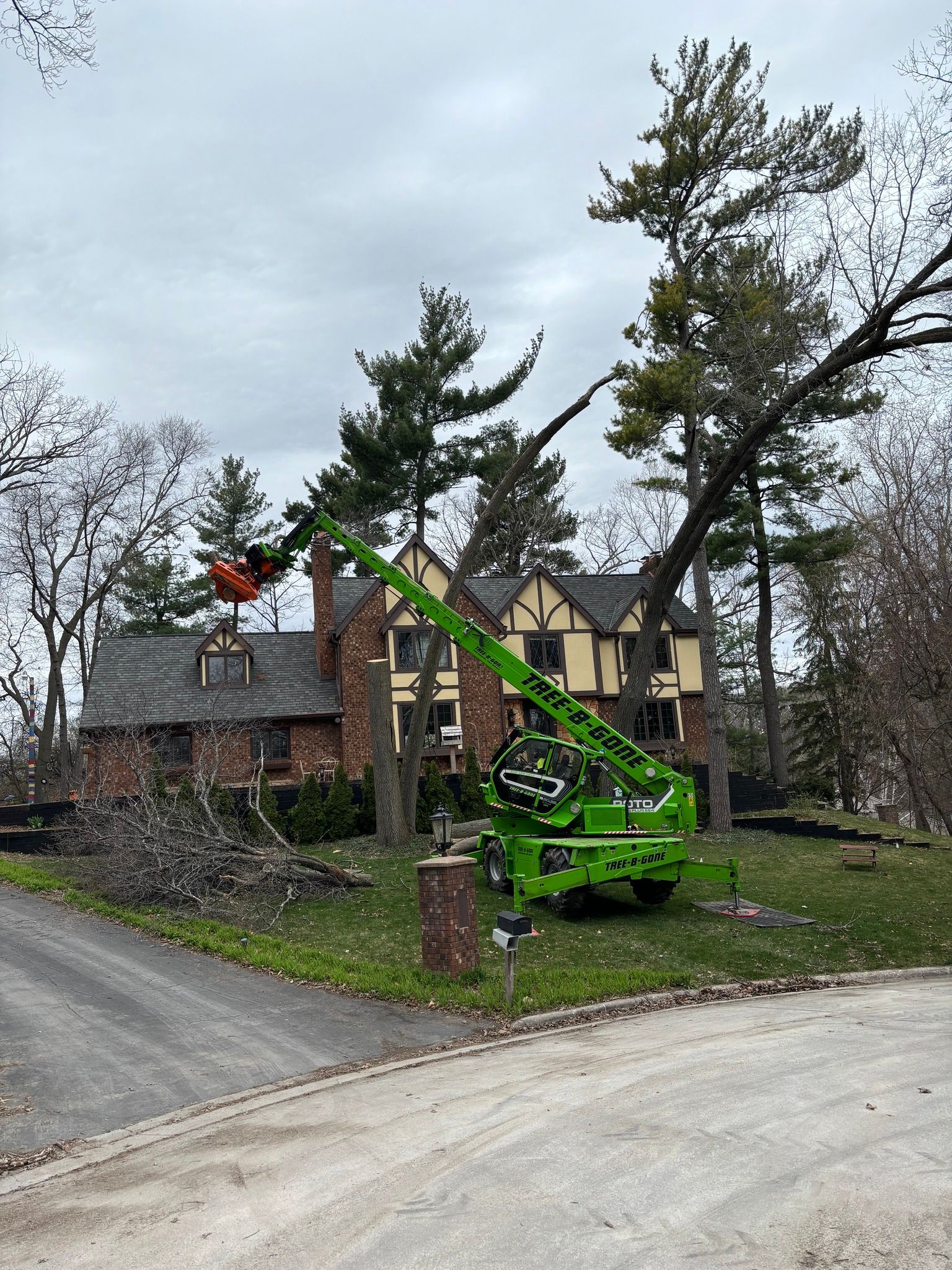  for Tree-B-Gone in Appleton, WI