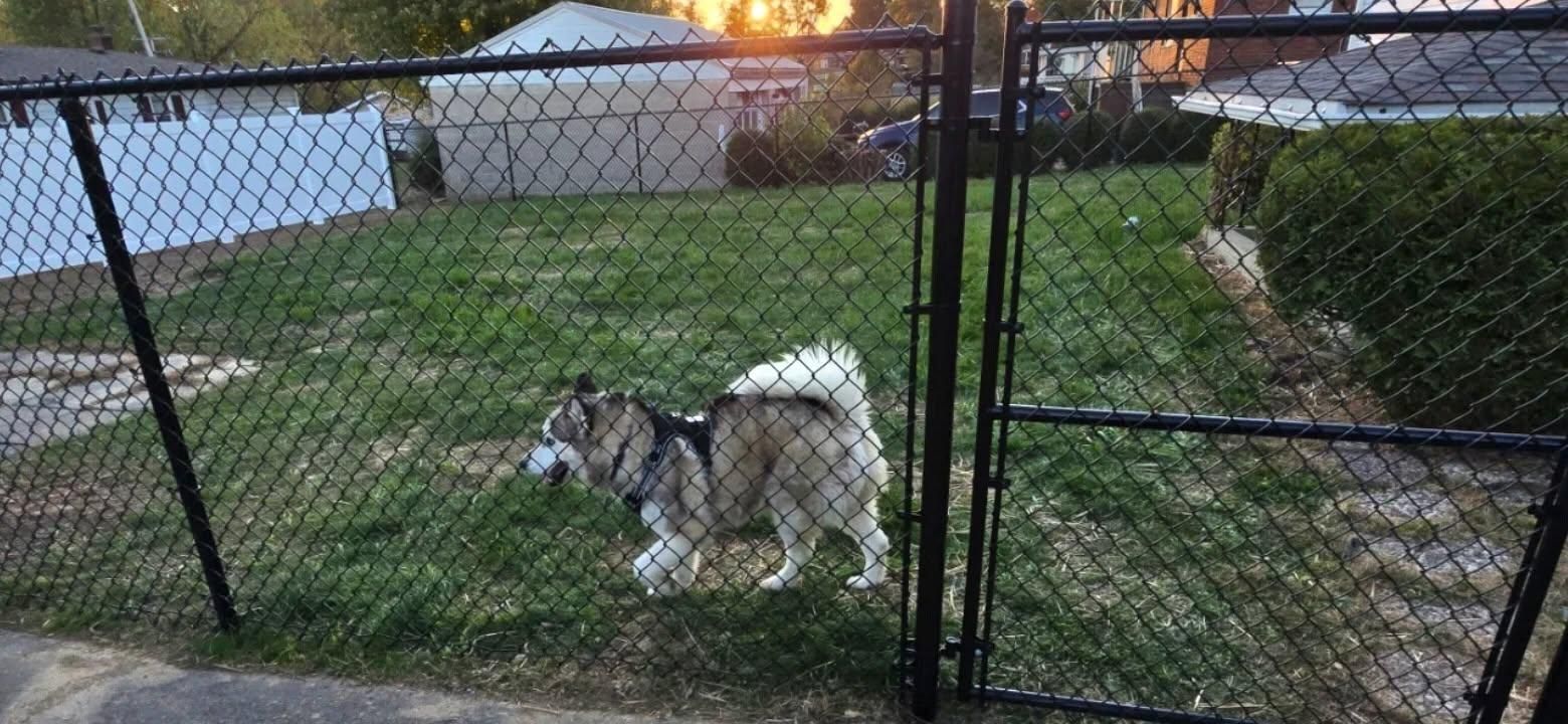 All Photos for Backyard Fence Solutions LLC in Uniontown, PA