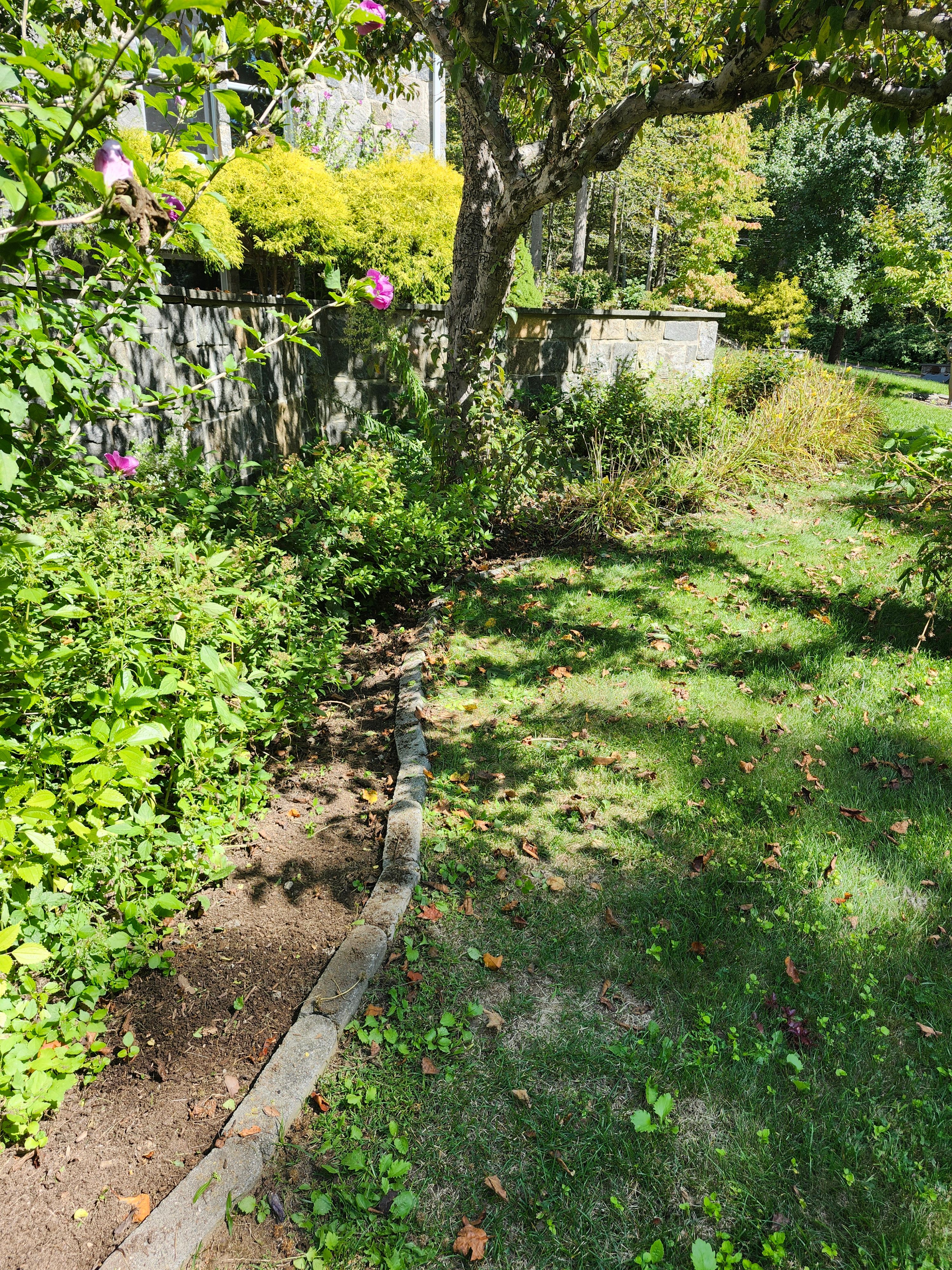 Muclhing & Weeding for Landscape Innovations LLC in Torrington, CT