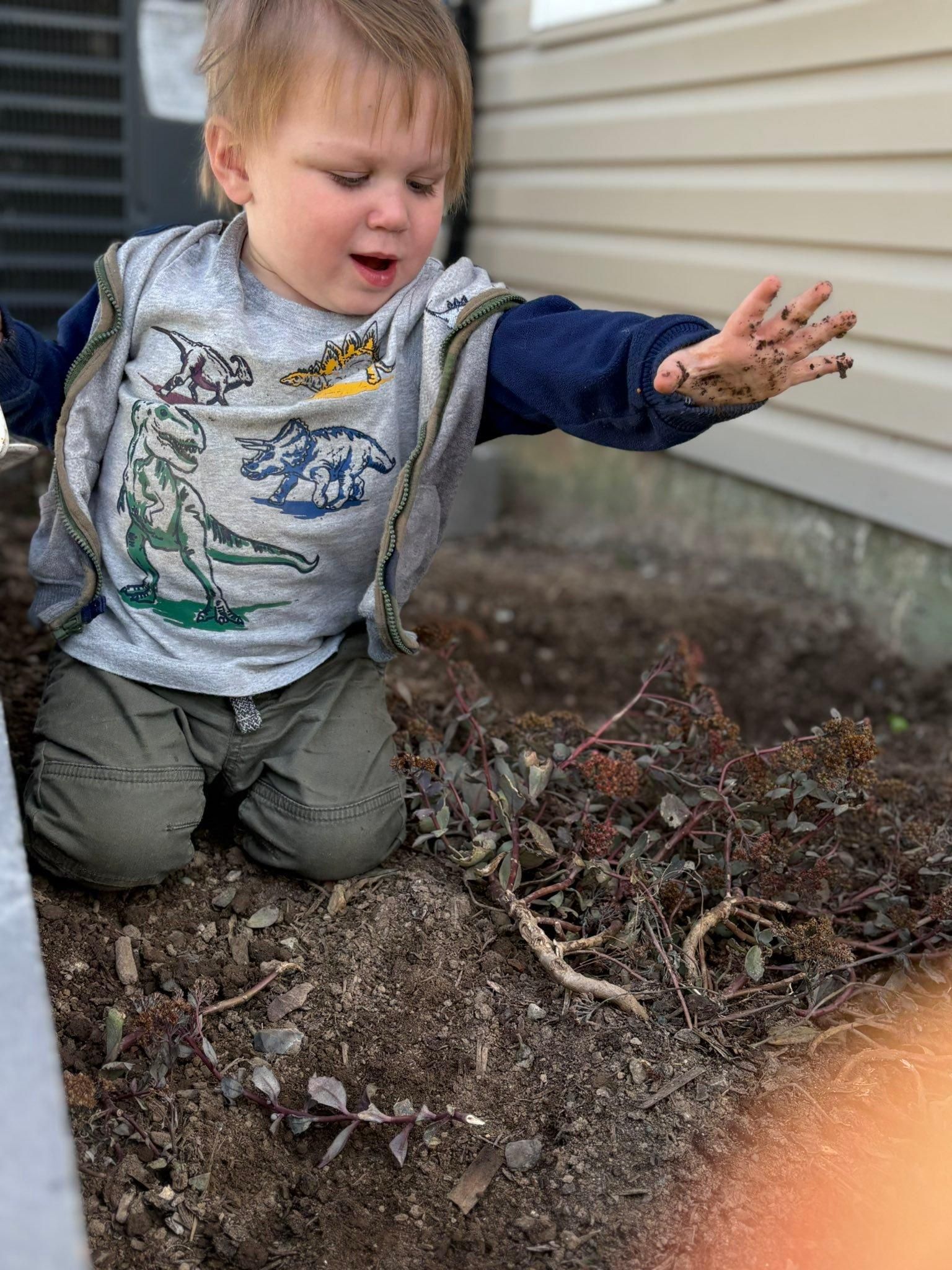  for Russo’s Landscaping & Tree Removal in Levittown, PA