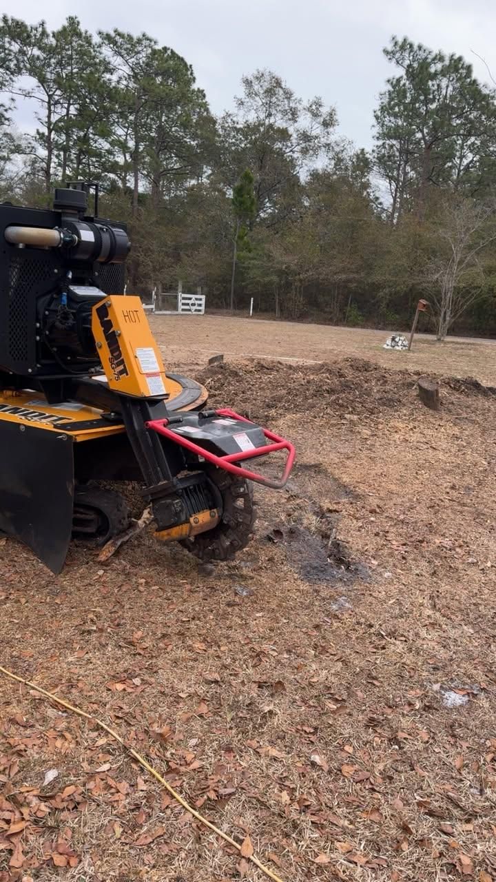 All Photos for Jacksonville Outdoors in Jacksonville, FL