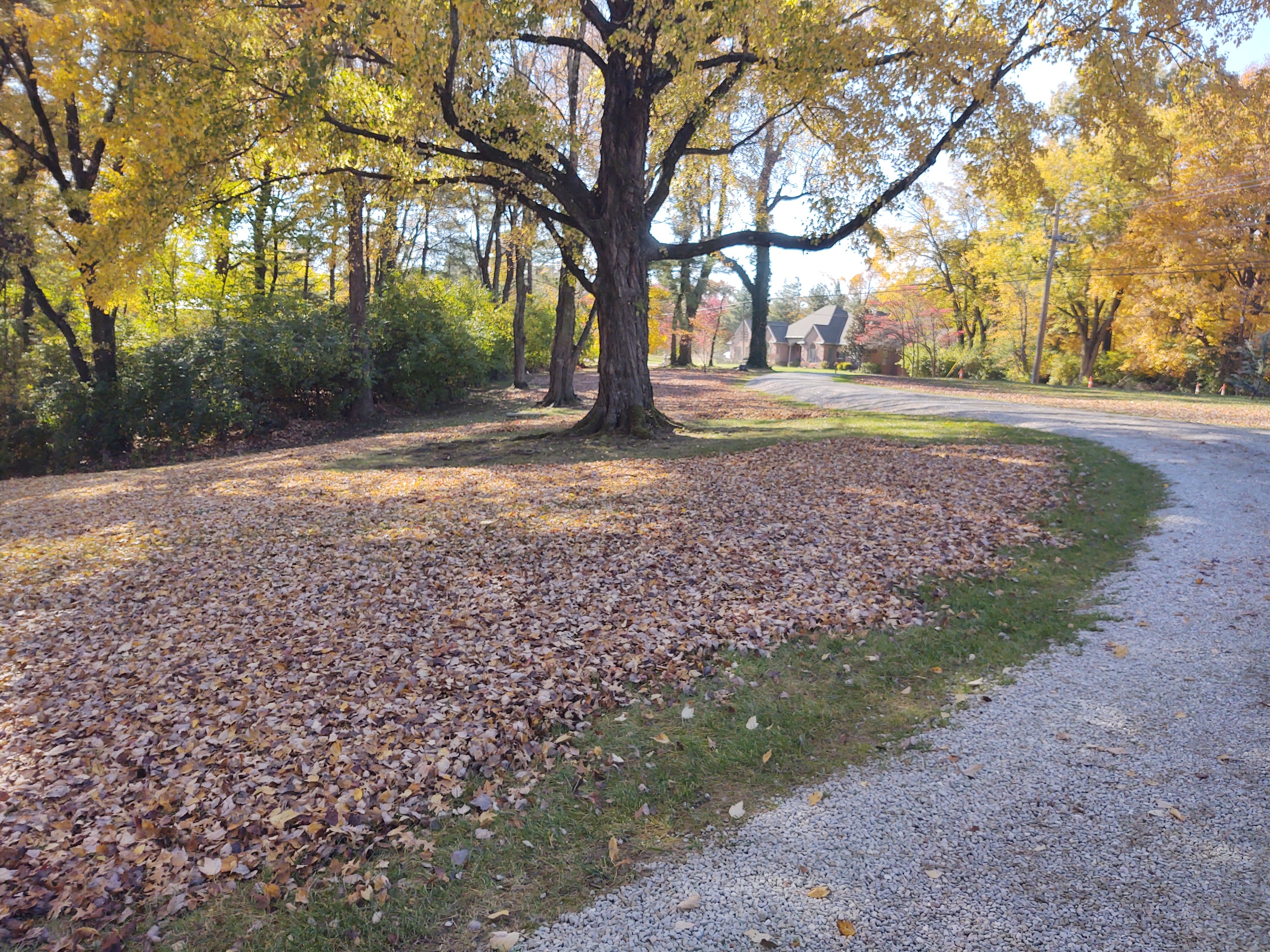  for The Grass Guys™ in Evansville, IN