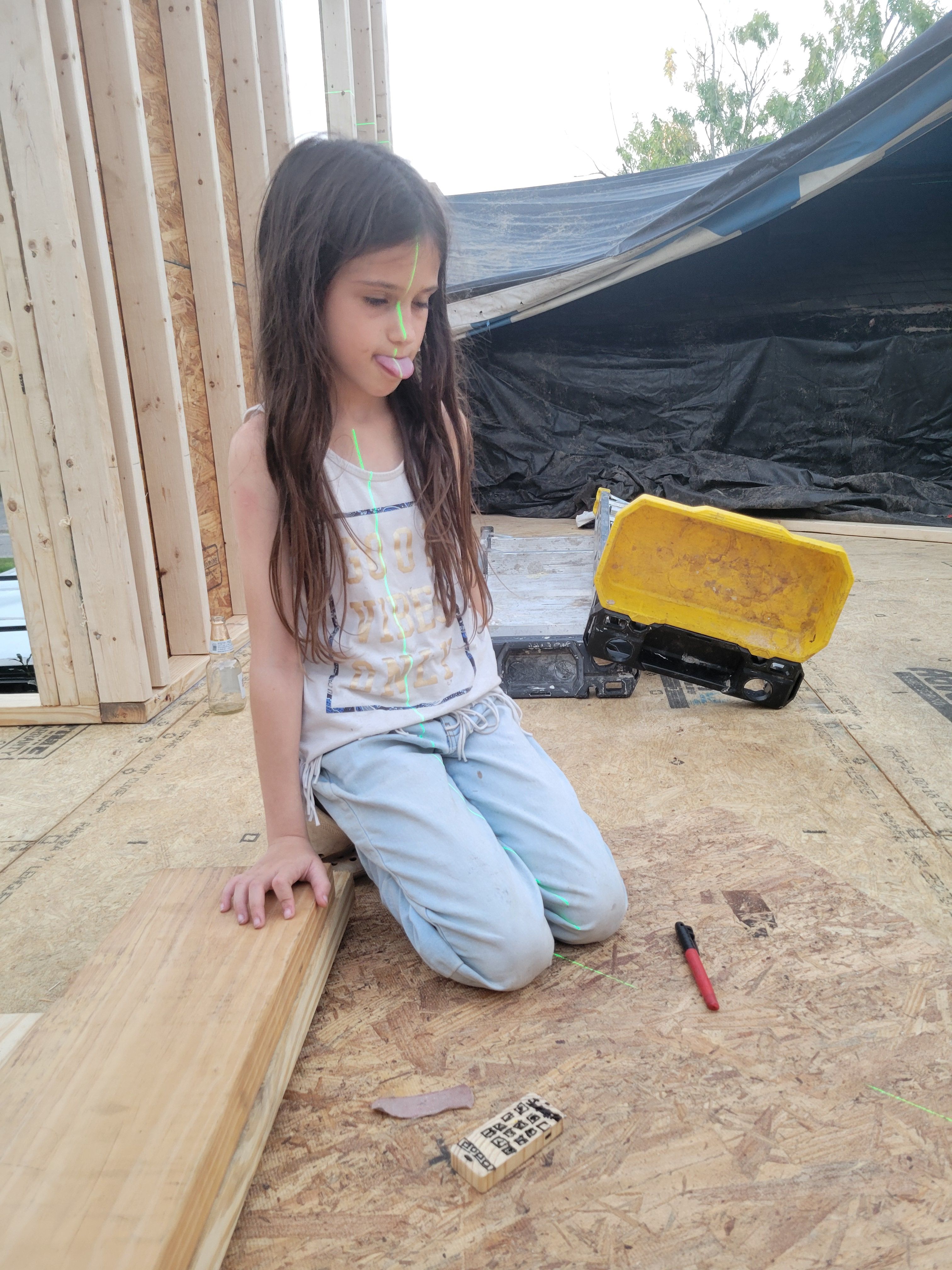  for GVL Renovations in Greenville, SC