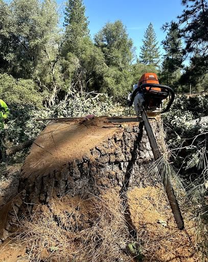 All Photos for Tyco Forest Management in Placerville, CA