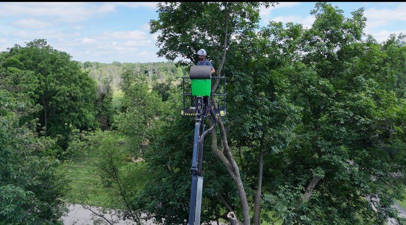 All Photos for DGD Outdoor Services LLC in Howell, MI