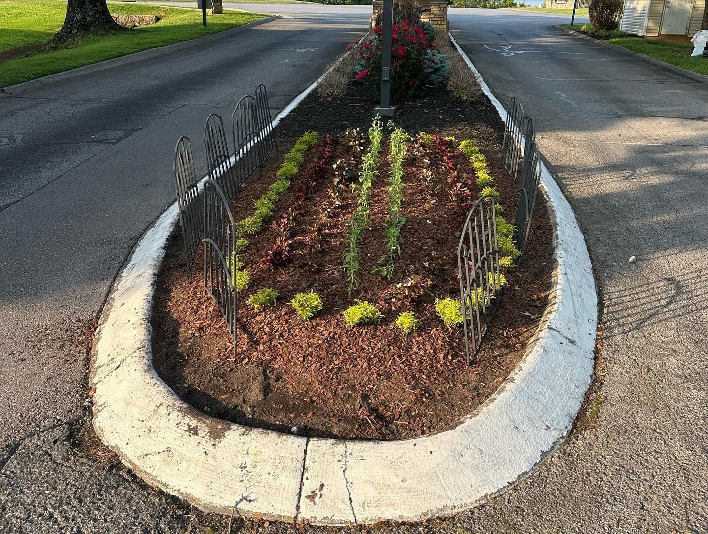  for The Right Price Right Choice Lawn Care Services in Murfreesboro, TN