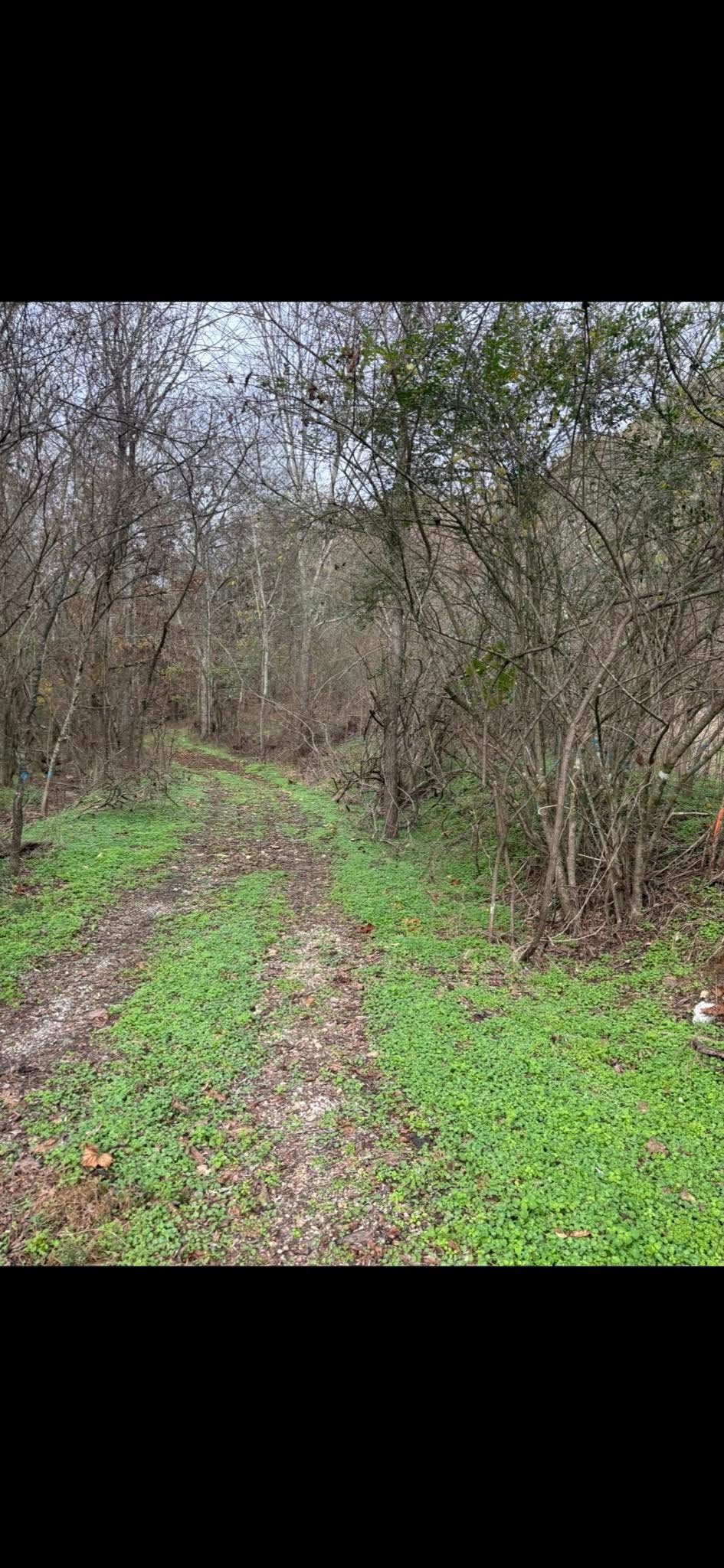 for Gregory Grass and Land in Lafayette, TN