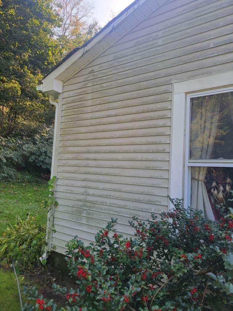  for Shane Services in Sussex County, NJ