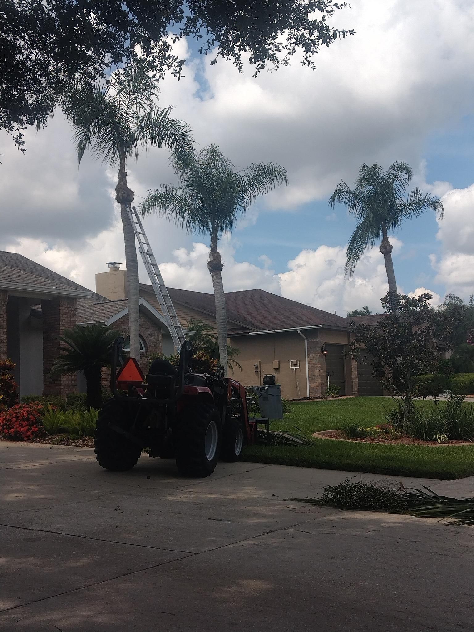  for Bills Tree Service in Valrico, FL