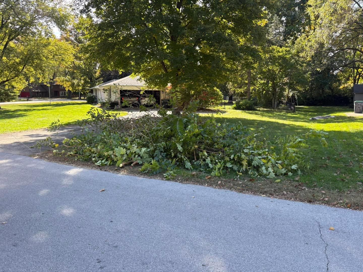 All Photos for Harder Than Concrete in Indianapolis, IN