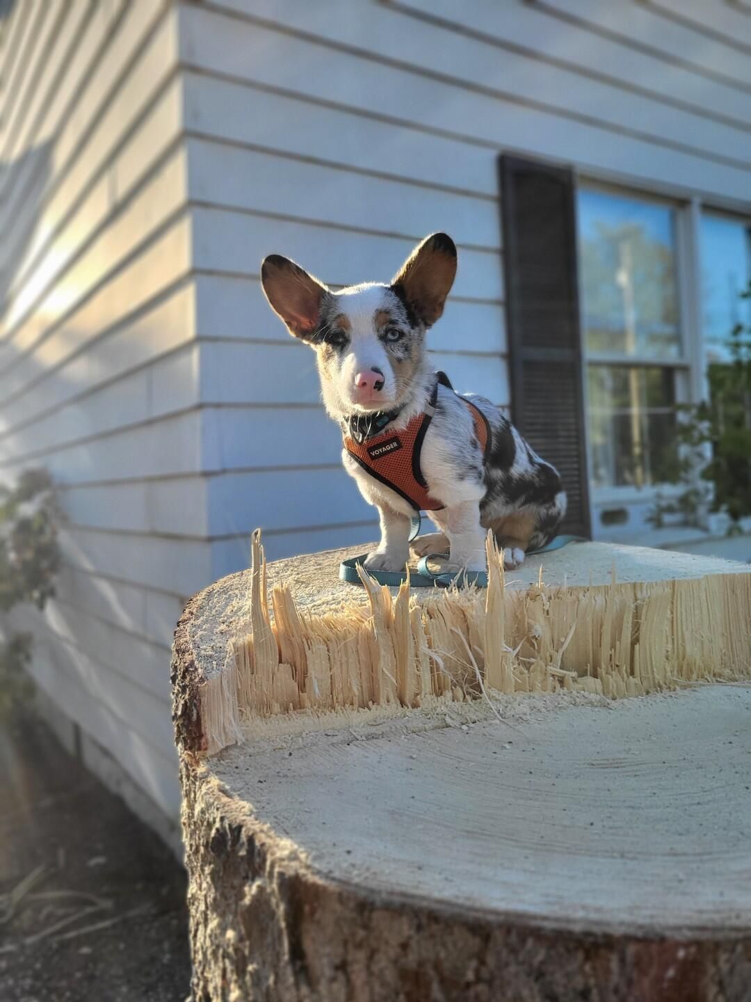  for Jenkins Landscaping & Property Management LLC in Clinton, OH