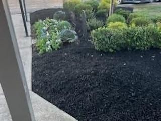  for The Right Price Right Choice Lawn Care Services in Murfreesboro, TN