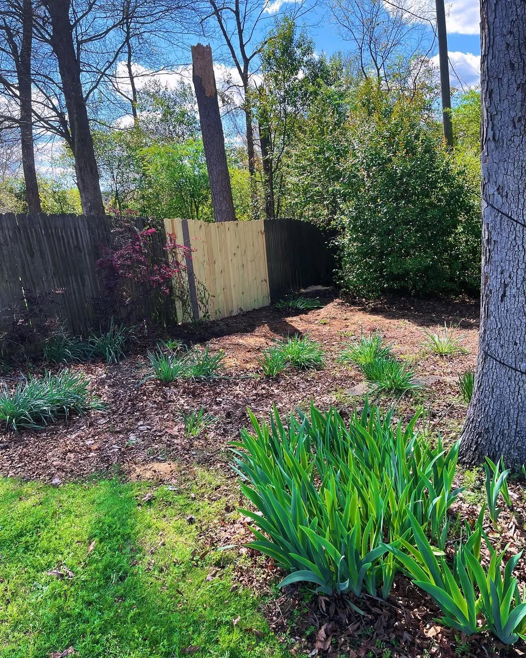  for Kingdom Tree Cuts in Birmingham, AL