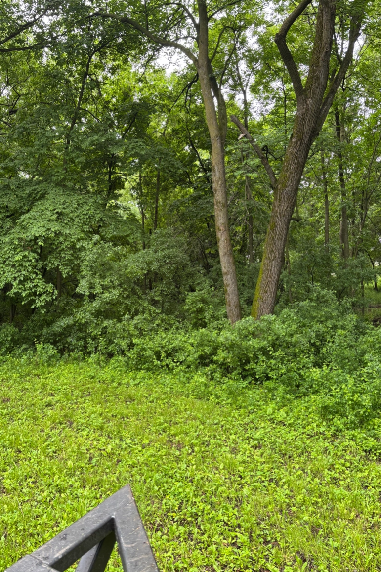  for Root Land Management in Watkins, MN