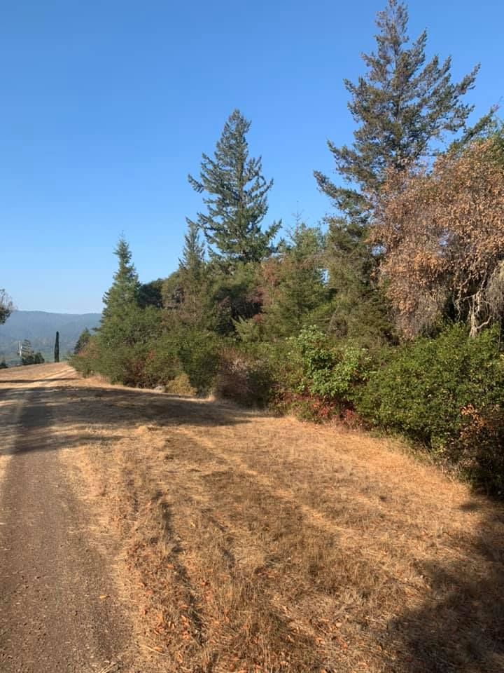  for J. Orozco & Sons Ent in Philo, CA