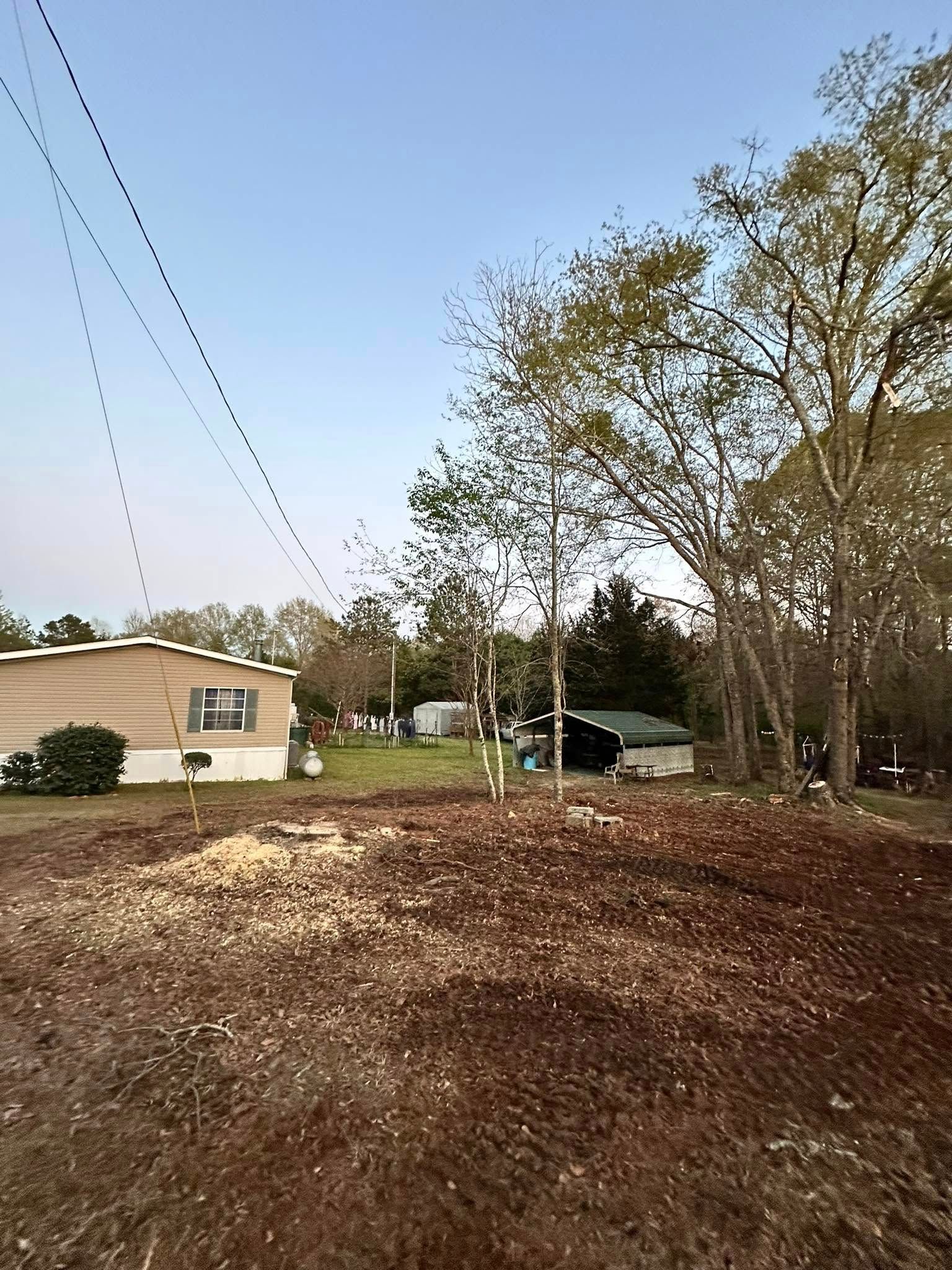Tree Removal for Page Outdoor Services in Wrightsville, GA