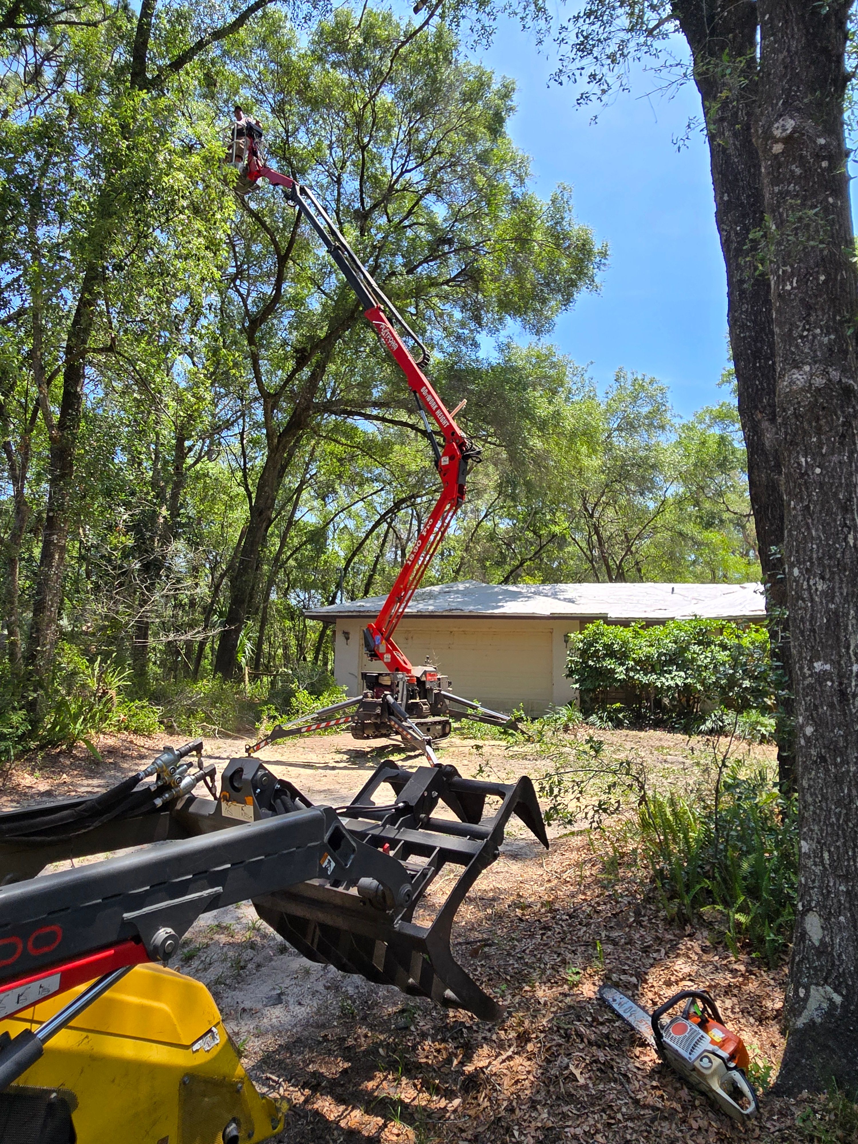 All Photos for Near Me Tree Service, Inc. in DeLand, FL
