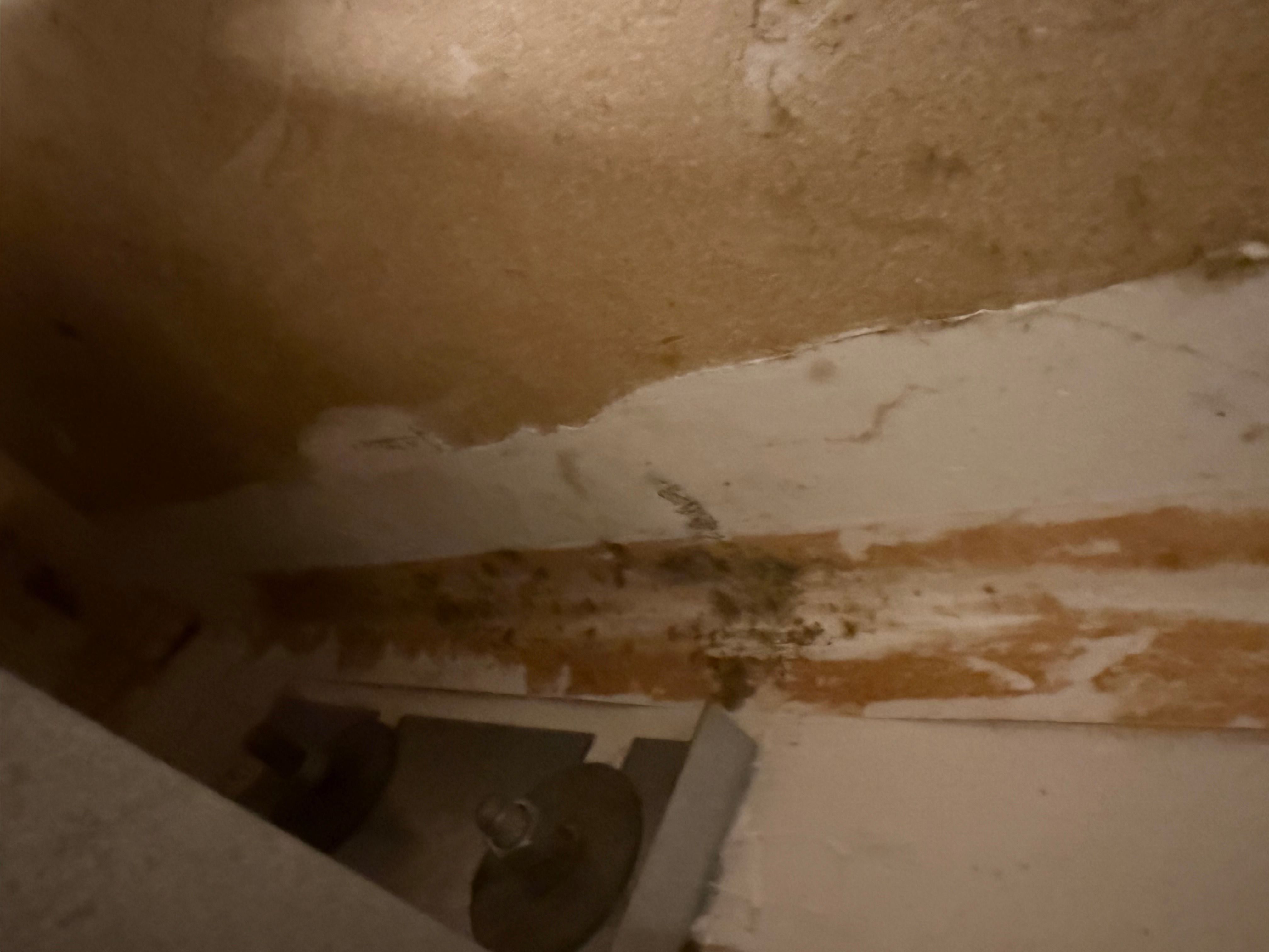  for Titan Remediation Industries in West Palm Beach, FL